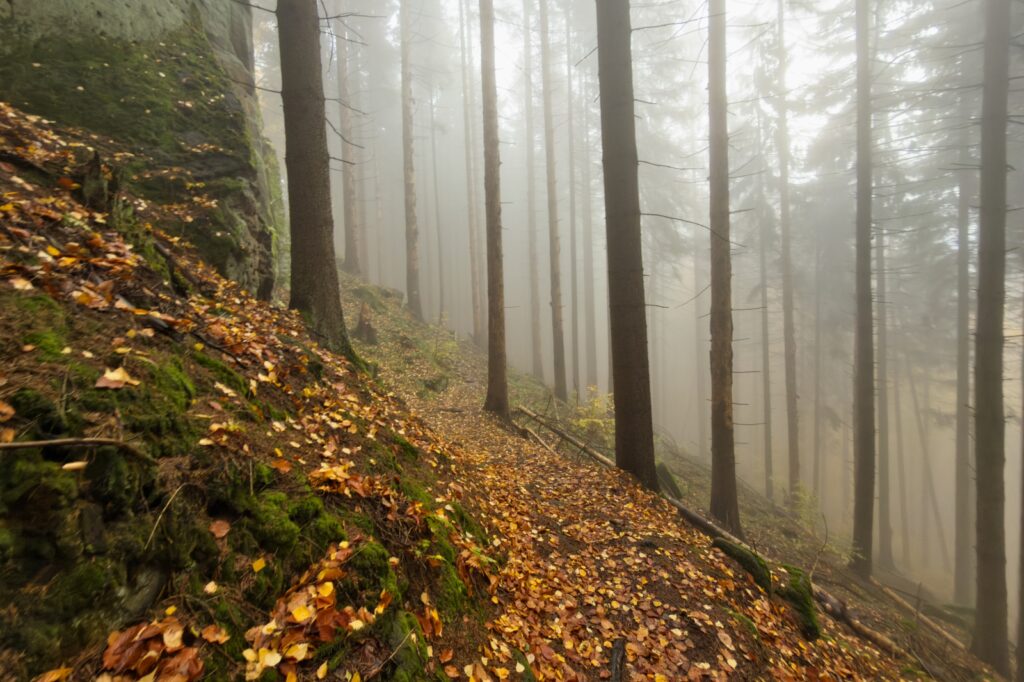 20251025 Radkowskie Skalne Bastiony Pielgrzym Nikaca Laka IP16P 043 IMG 2576 social