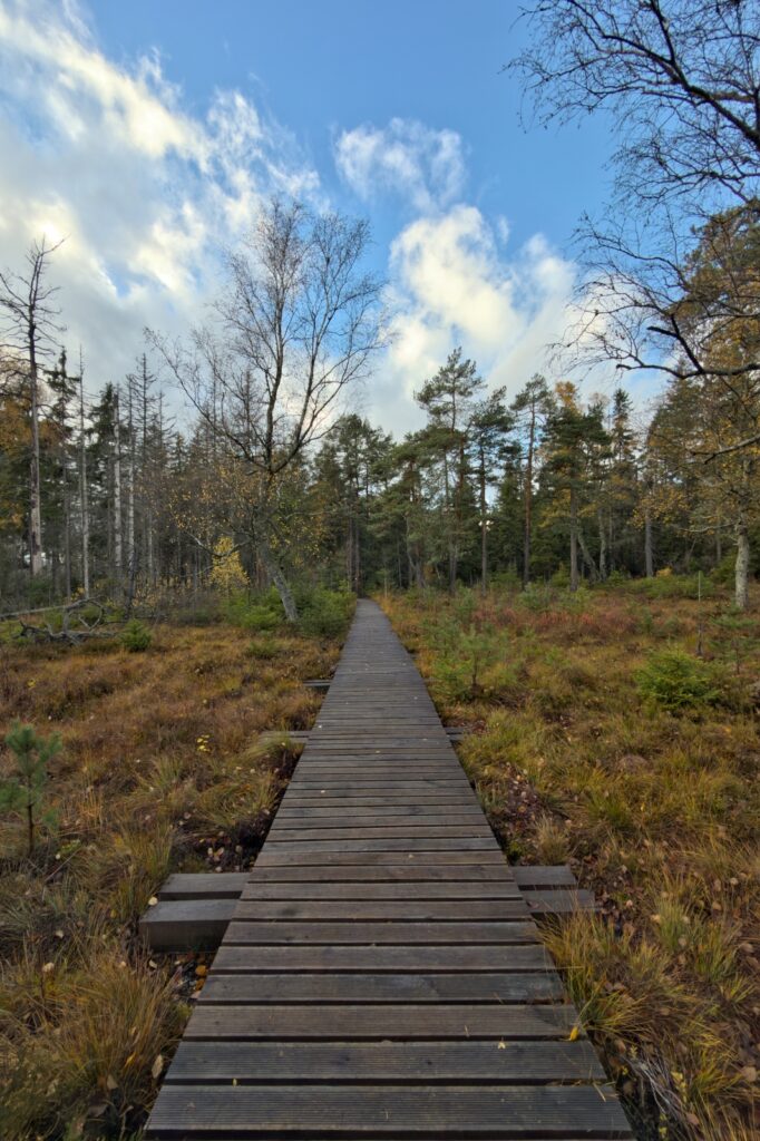 20251025 Radkowskie Skalne Bastiony Pielgrzym Nikaca Laka IP16P 085 IMG 2673 social