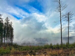 2025.12.06 Lądek Zdrój Trojak Zamek Karpień Królówka Dzielec Lądek Zdrój IMG 3319 008 social media