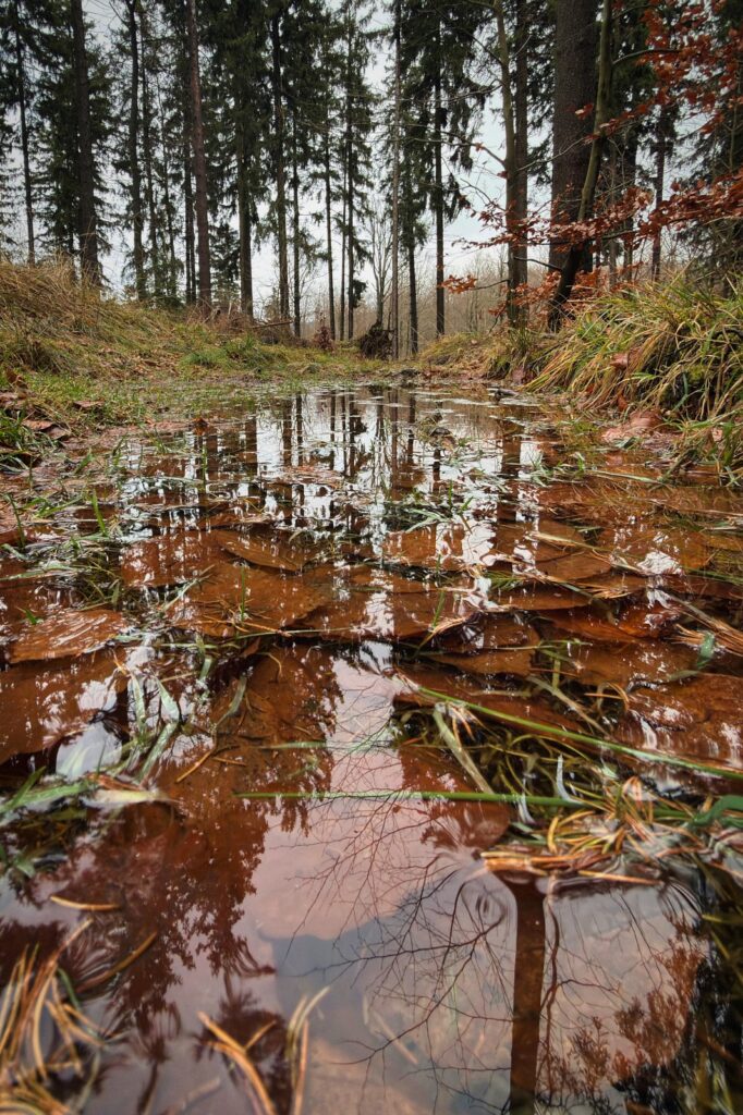 2025.12.06 Lądek Zdrój Trojak Zamek Karpień Królówka Dzielec Lądek Zdrój IMG 3374 043 social media