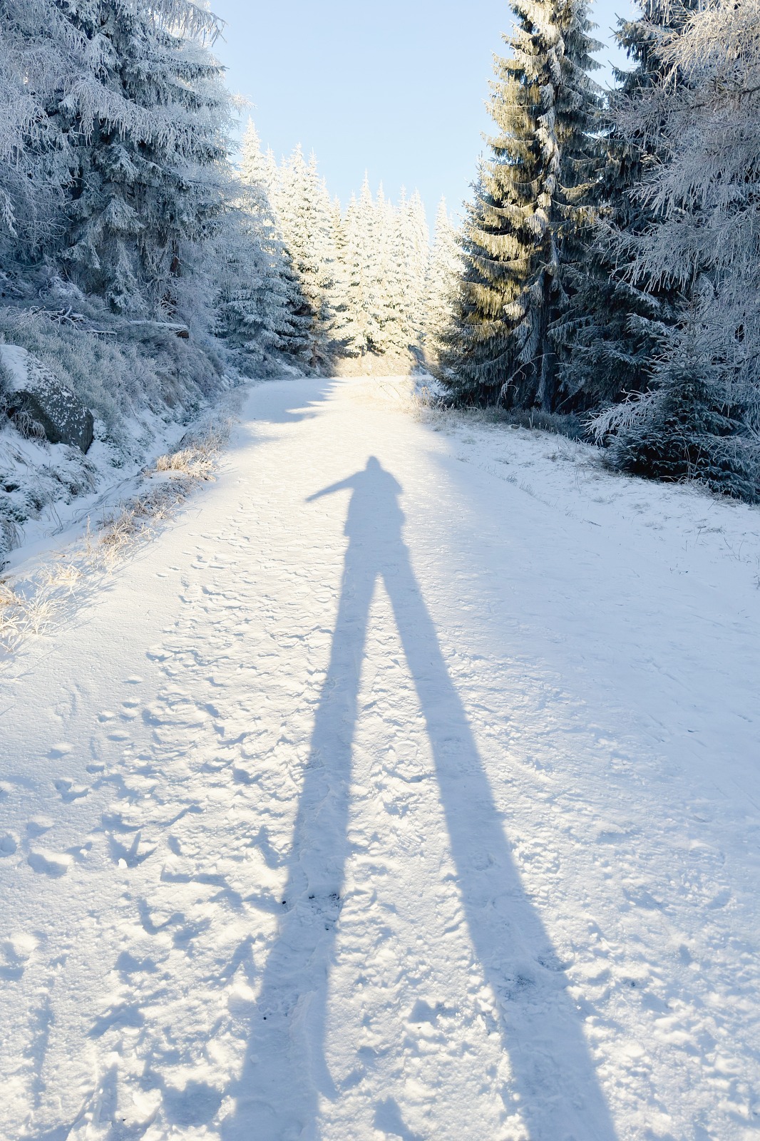 Wielka Kopa i Wielki Kamień- zimowa trasa