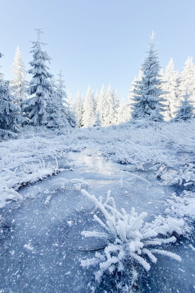 2025.12.25 Wielka Kopa i Wielki Kamień IMG 3686 010 ip16p social