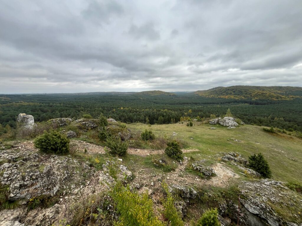 20251012 Góra Biakło – krótka pętla przez Bonifacy i Studnię Zygmunta IMG 2297 028