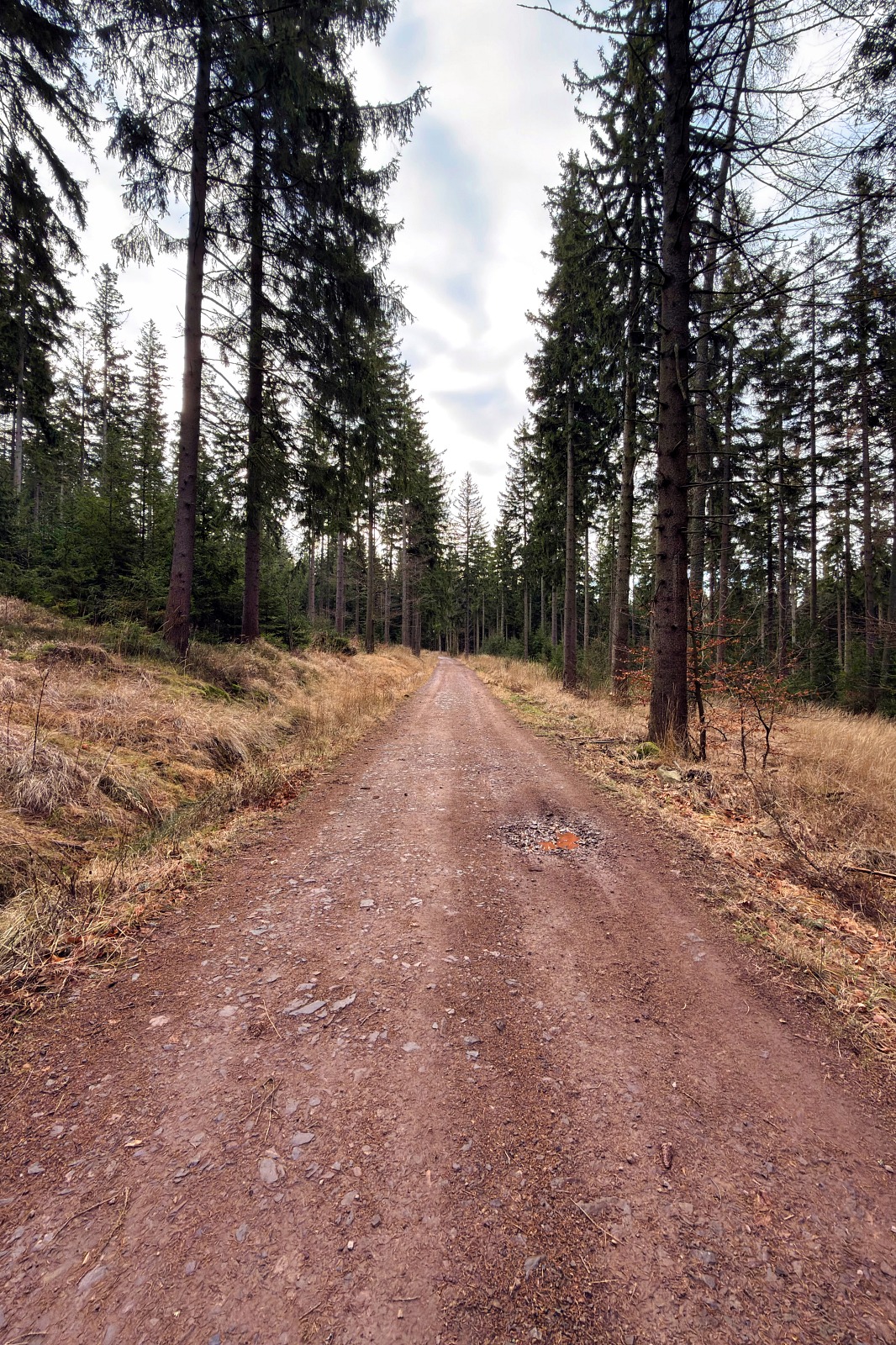 20251220 Trójmorski Wierch i Mały Śnieżnik