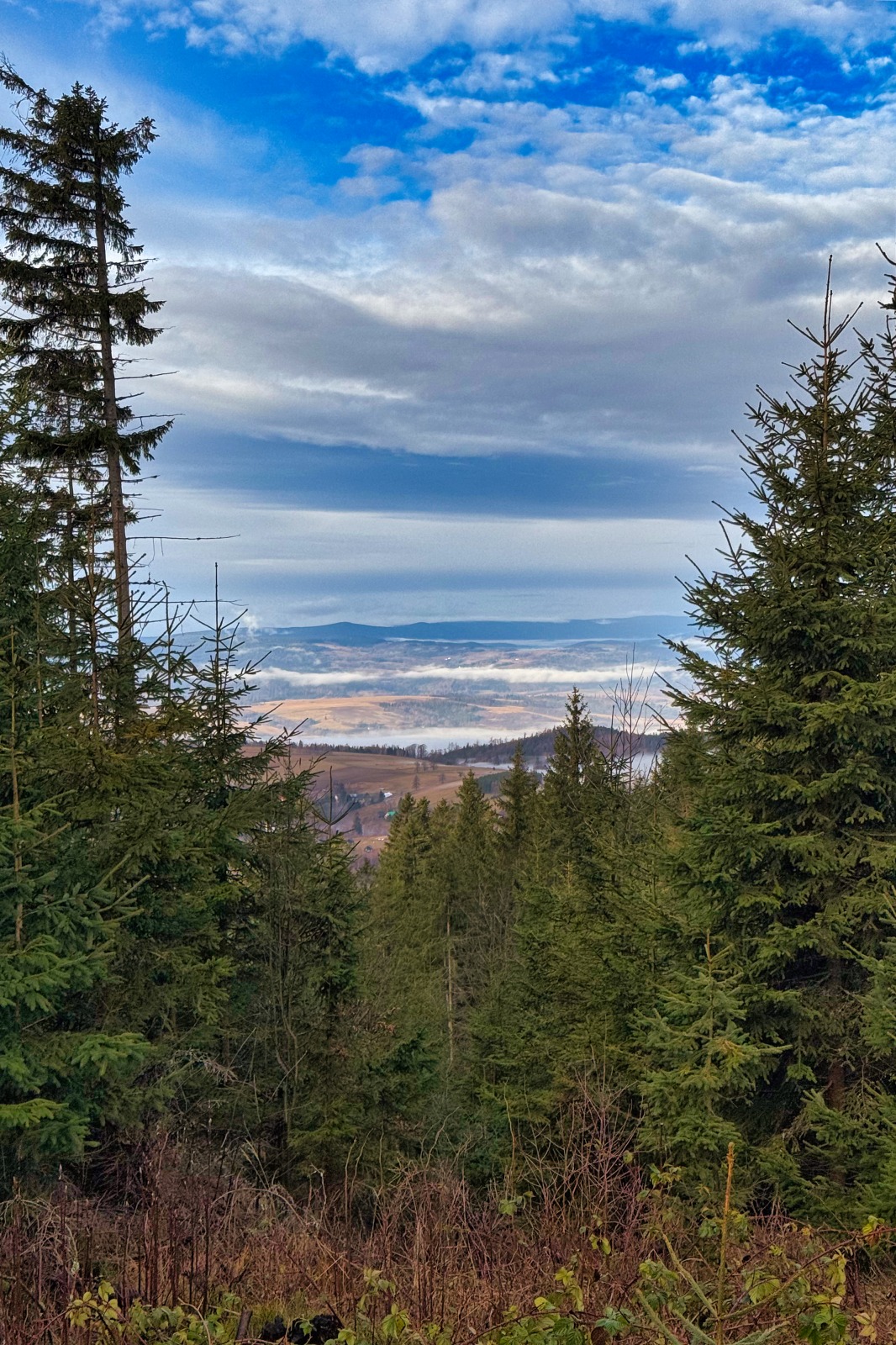 20251220 Trójmorski Wierch IMG 3521 005 ip16p social