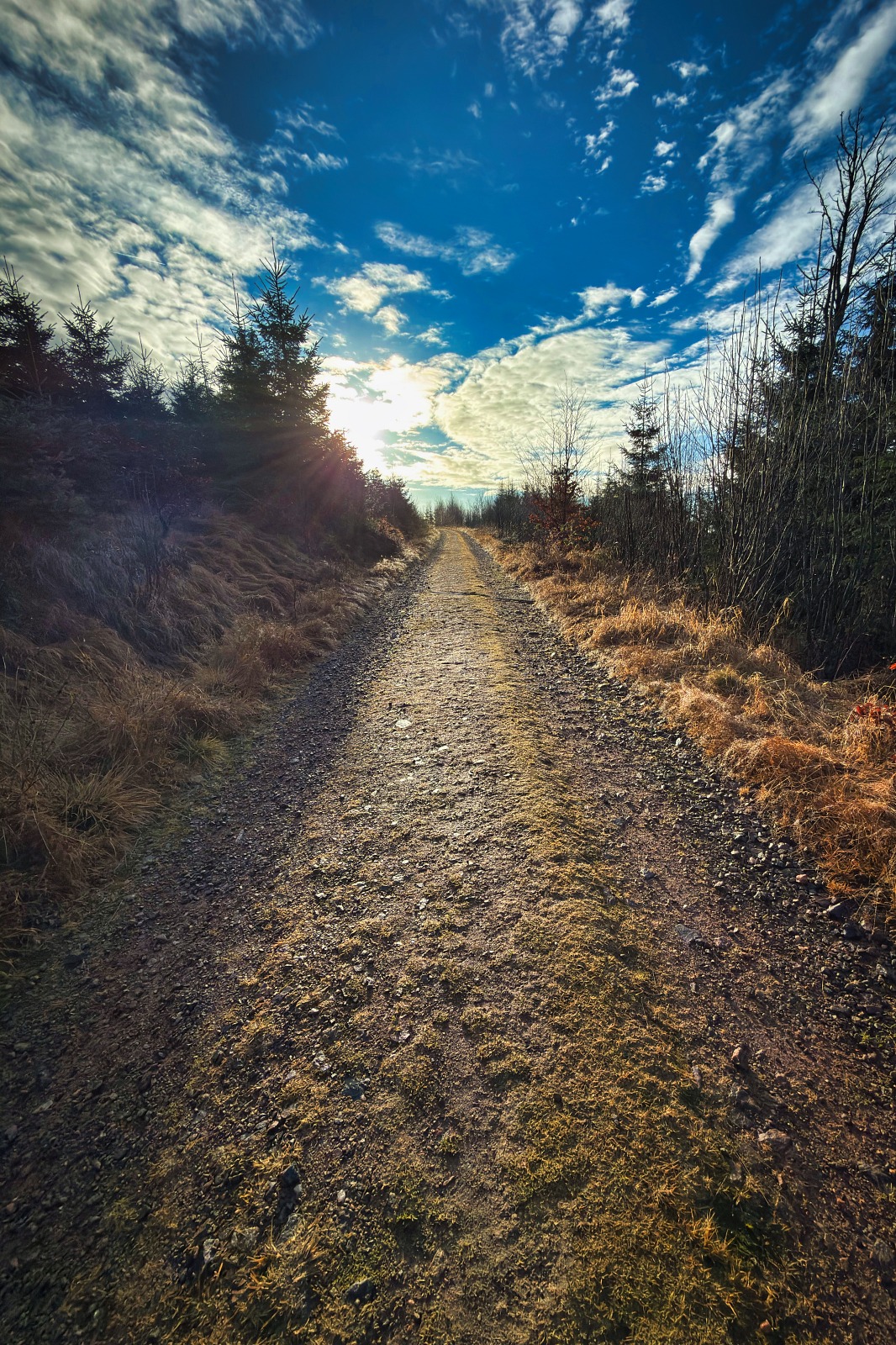 20251220 Trójmorski Wierch IMG 3525 008 ip16p social