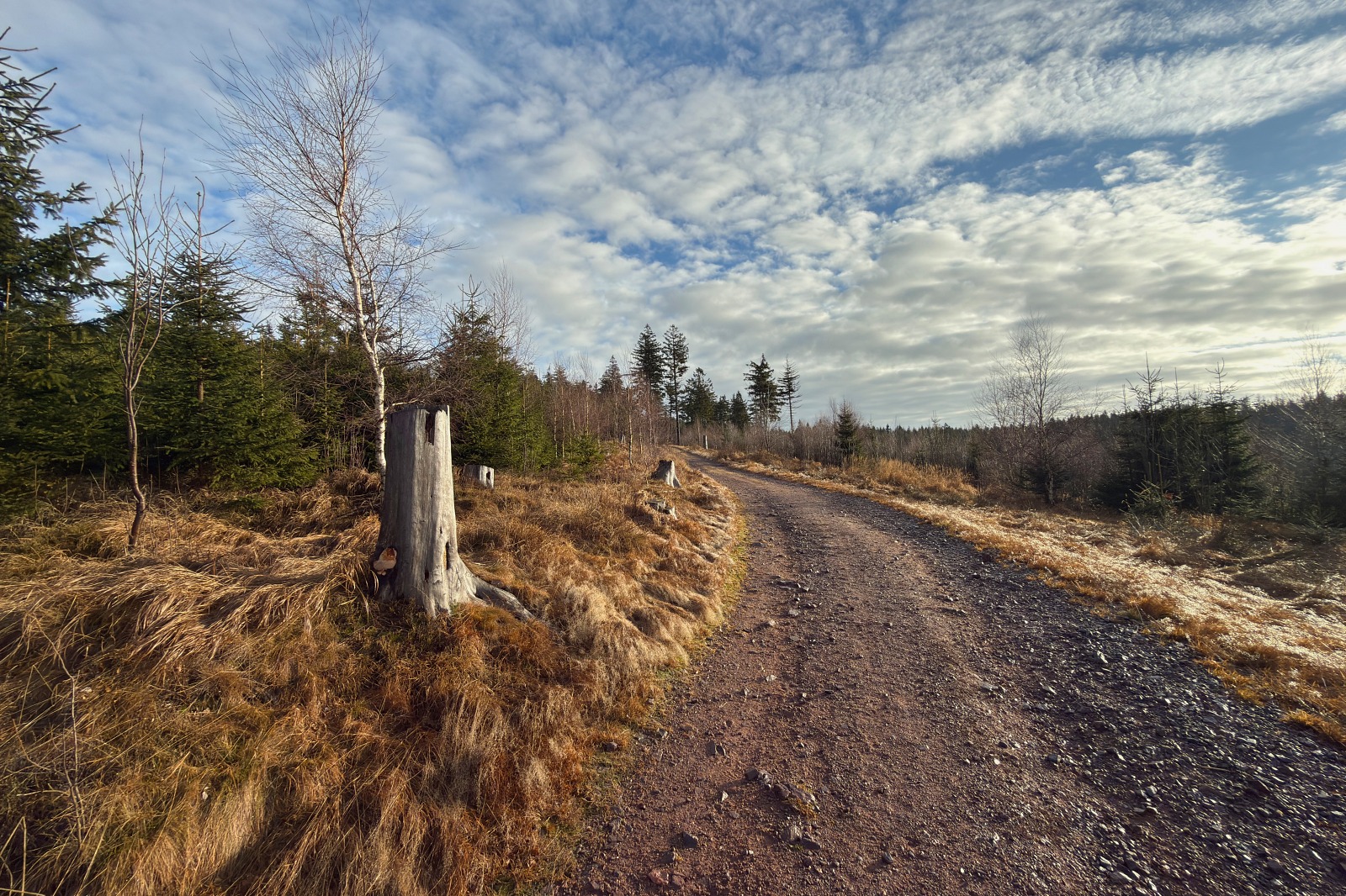 20251220 Trójmorski Wierch IMG 3527 010 ip16p social