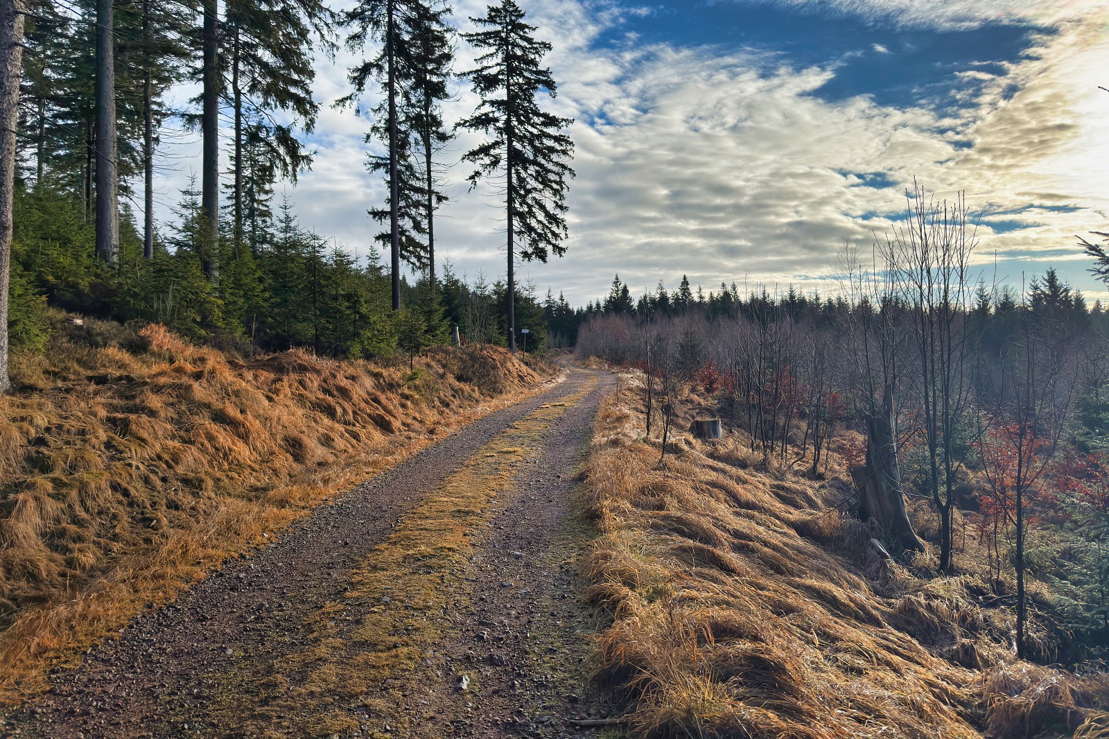 20251220 Trójmorski Wierch IMG 3528 011 ip16p social