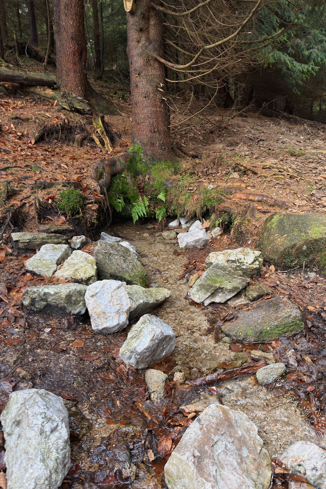 20251220 Trójmorski Wierch IMG 3531 013 ip16p social