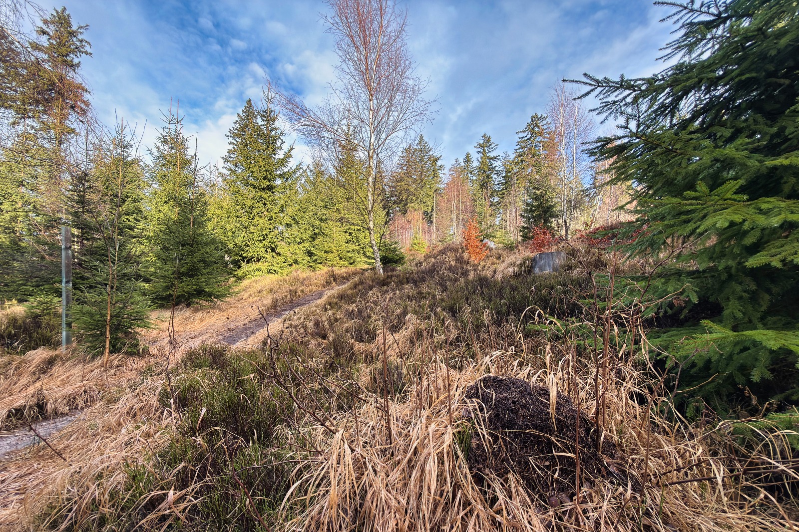 20251220 Trójmorski Wierch IMG 3532 014 ip16p social