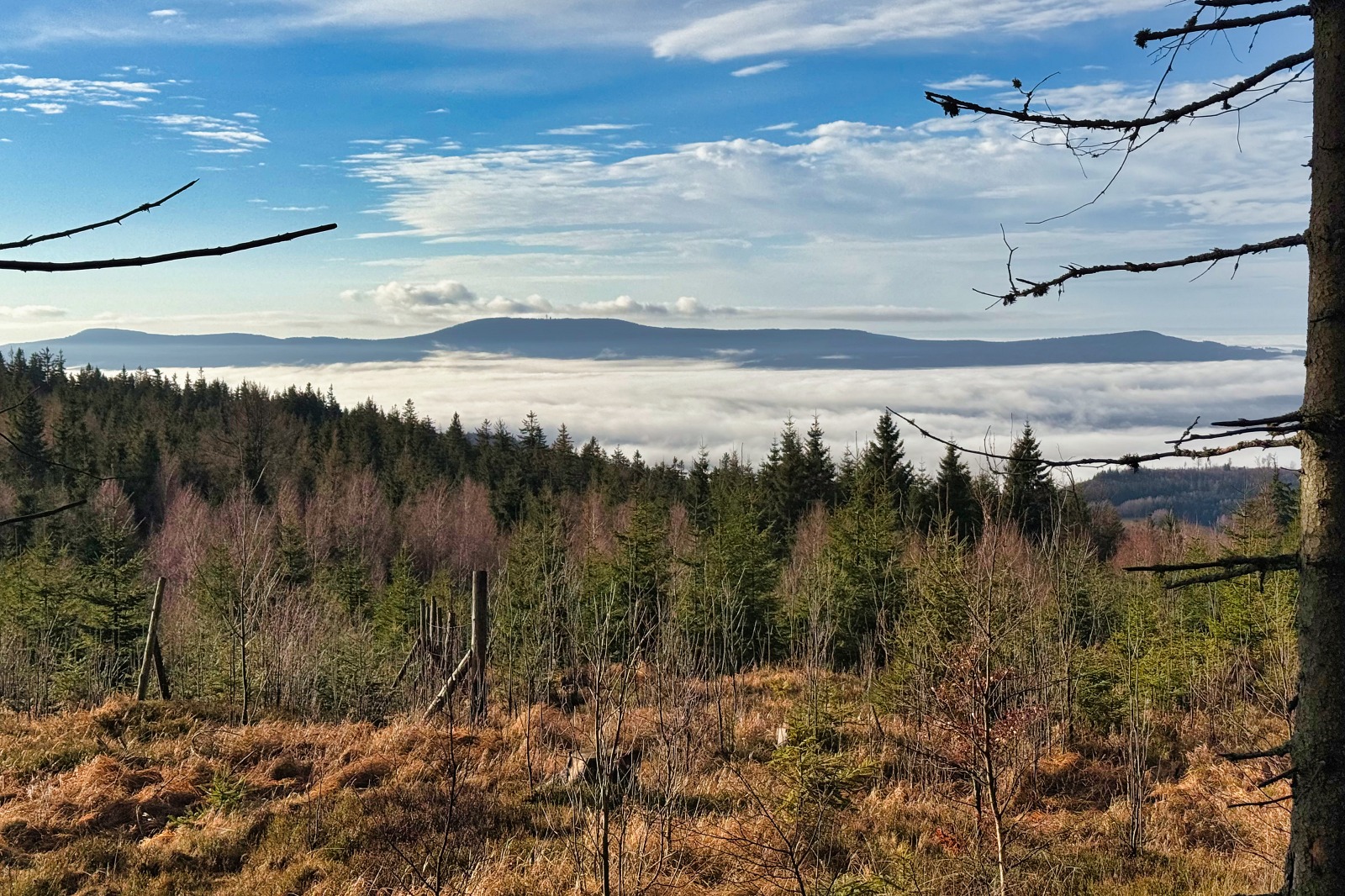 20251220 Trójmorski Wierch IMG 3533 015 ip16p social