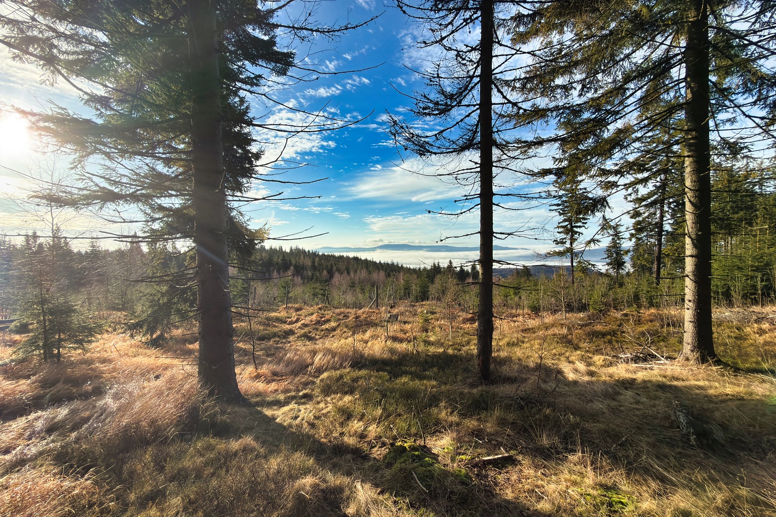 20251220 Trójmorski Wierch IMG 3535 017 ip16p social