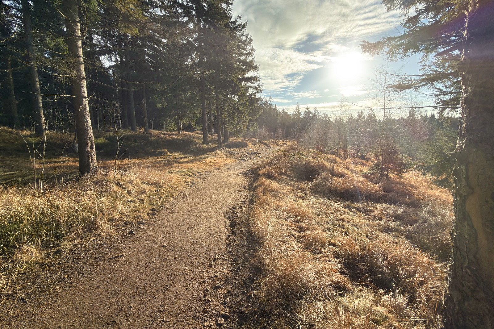 20251220 Trójmorski Wierch IMG 3536 018 ip16p social