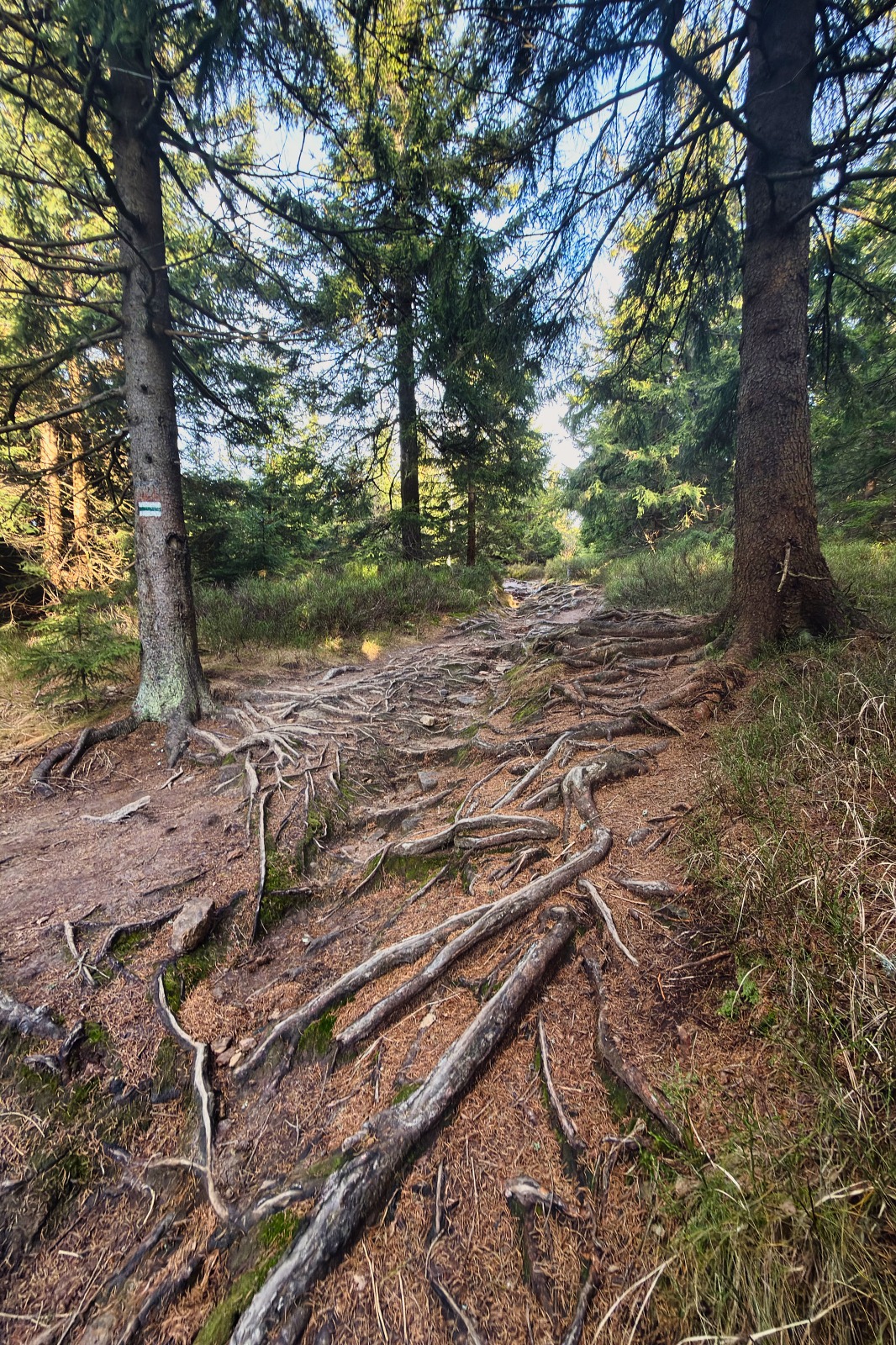 20251220 Trójmorski Wierch IMG 3538 020 ip16p social