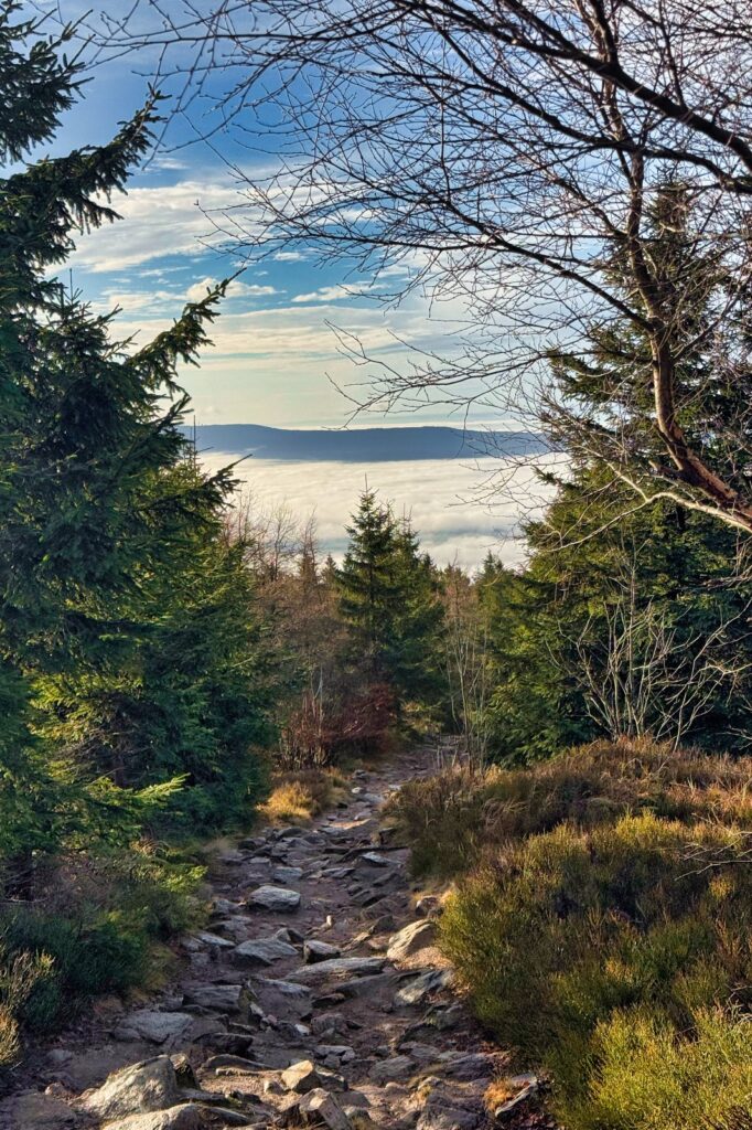 20251220 Trójmorski Wierch IMG 3539 021 ip16p social