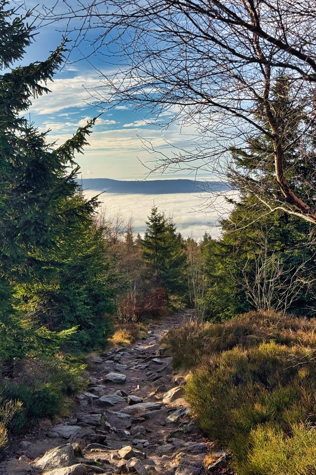 20251220 Trójmorski Wierch IMG 3539 021 ip16p social