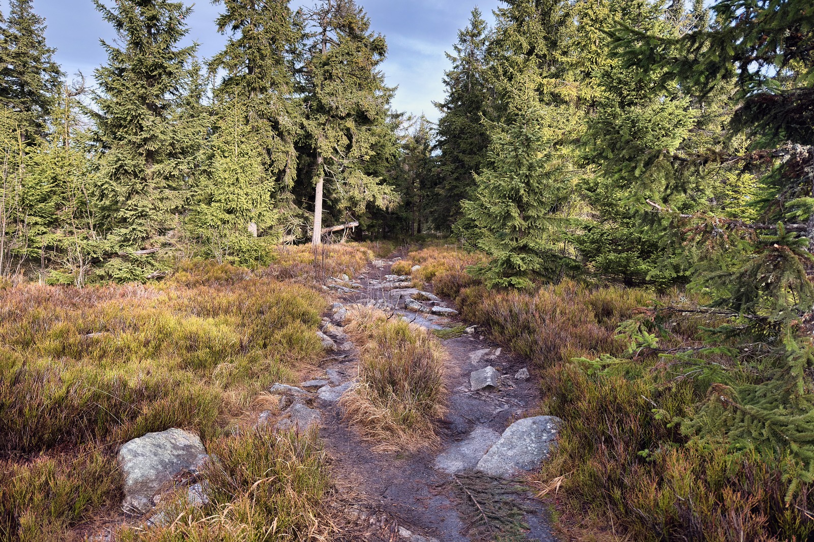 20251220 Trójmorski Wierch IMG 3577 032 ip16p social