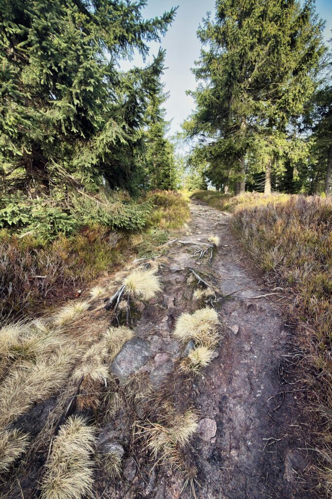 20251220 Trójmorski Wierch IMG 3578 033 ip16p social