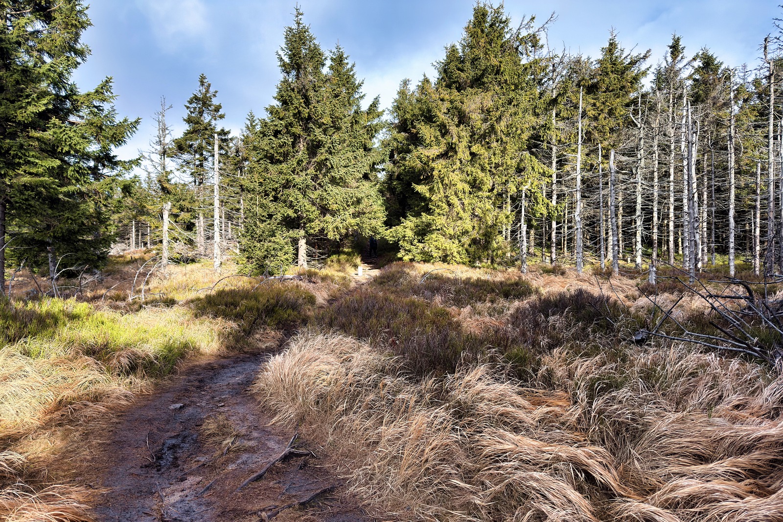 20251220 Trójmorski Wierch IMG 3580 034 ip16p social