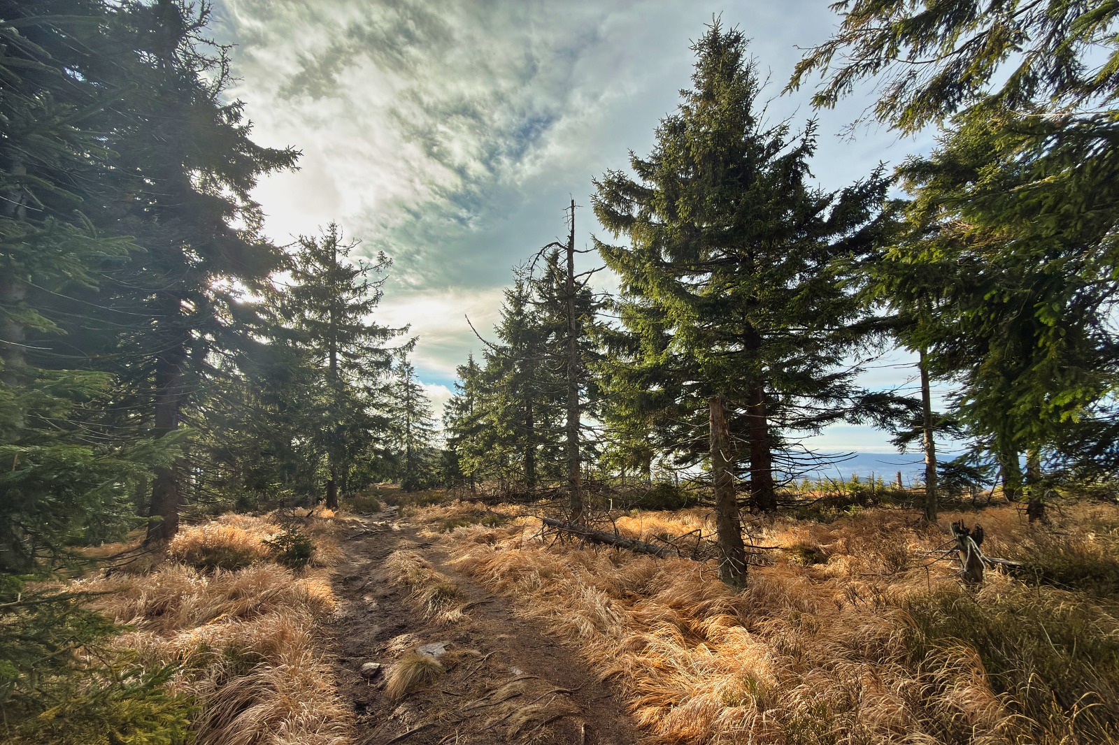 20251220 Trójmorski Wierch IMG 3581 035 ip16p social