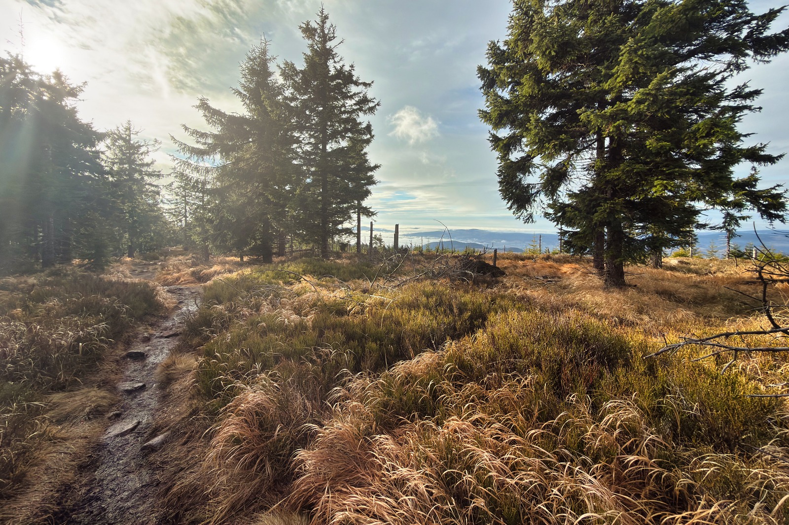 20251220 Trójmorski Wierch IMG 3582 036 ip16p social