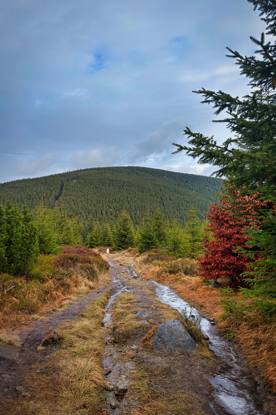 20251220 Trójmorski Wierch IMG 3584 038 ip16p social