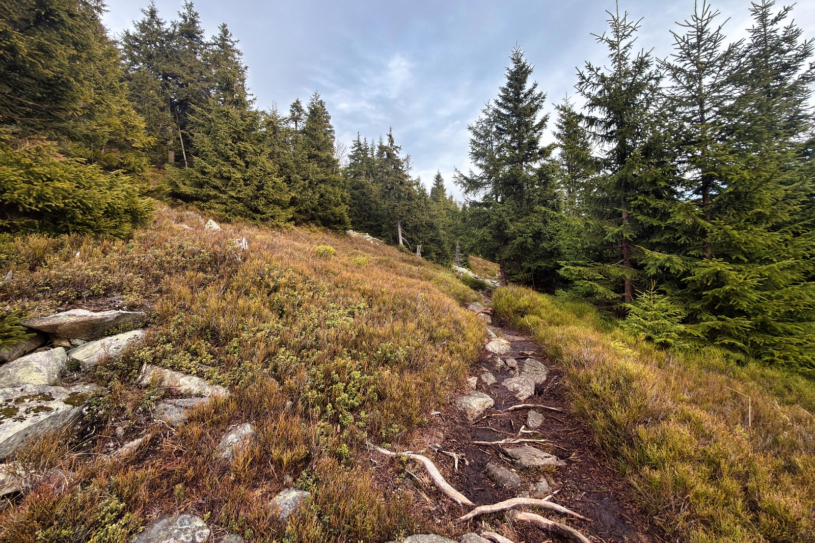 20251220 Trójmorski Wierch IMG 3599 041 ip16p social