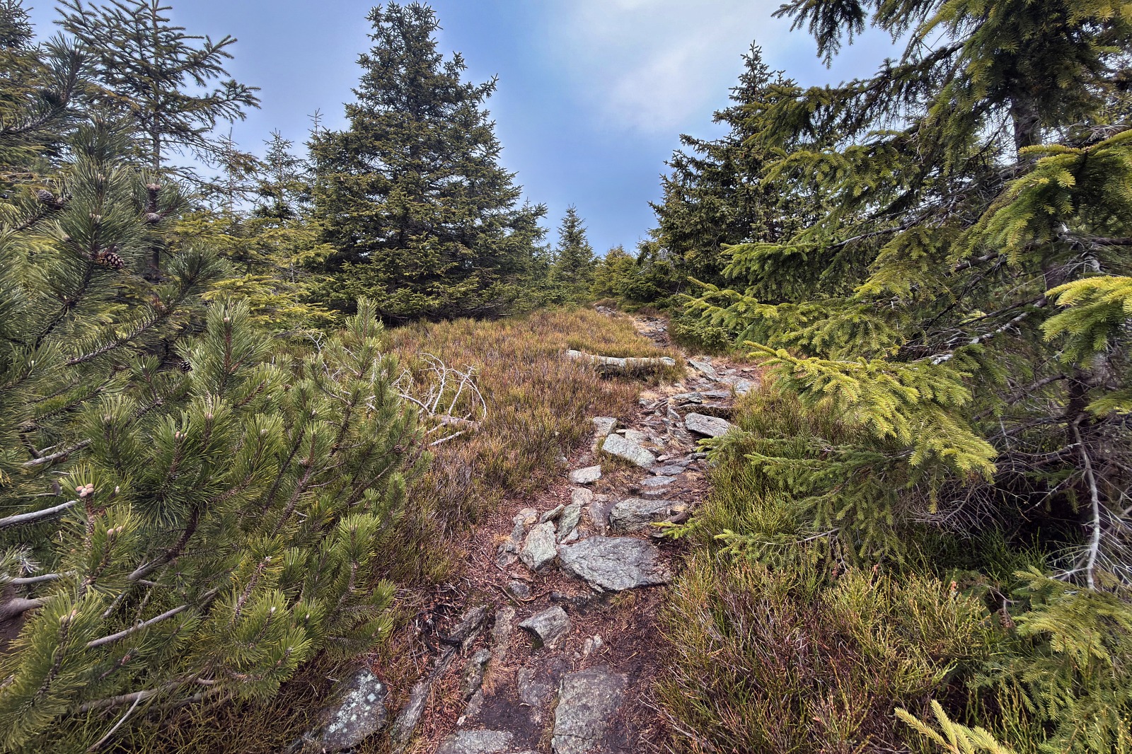 20251220 Trójmorski Wierch IMG 3601 042 ip16p social