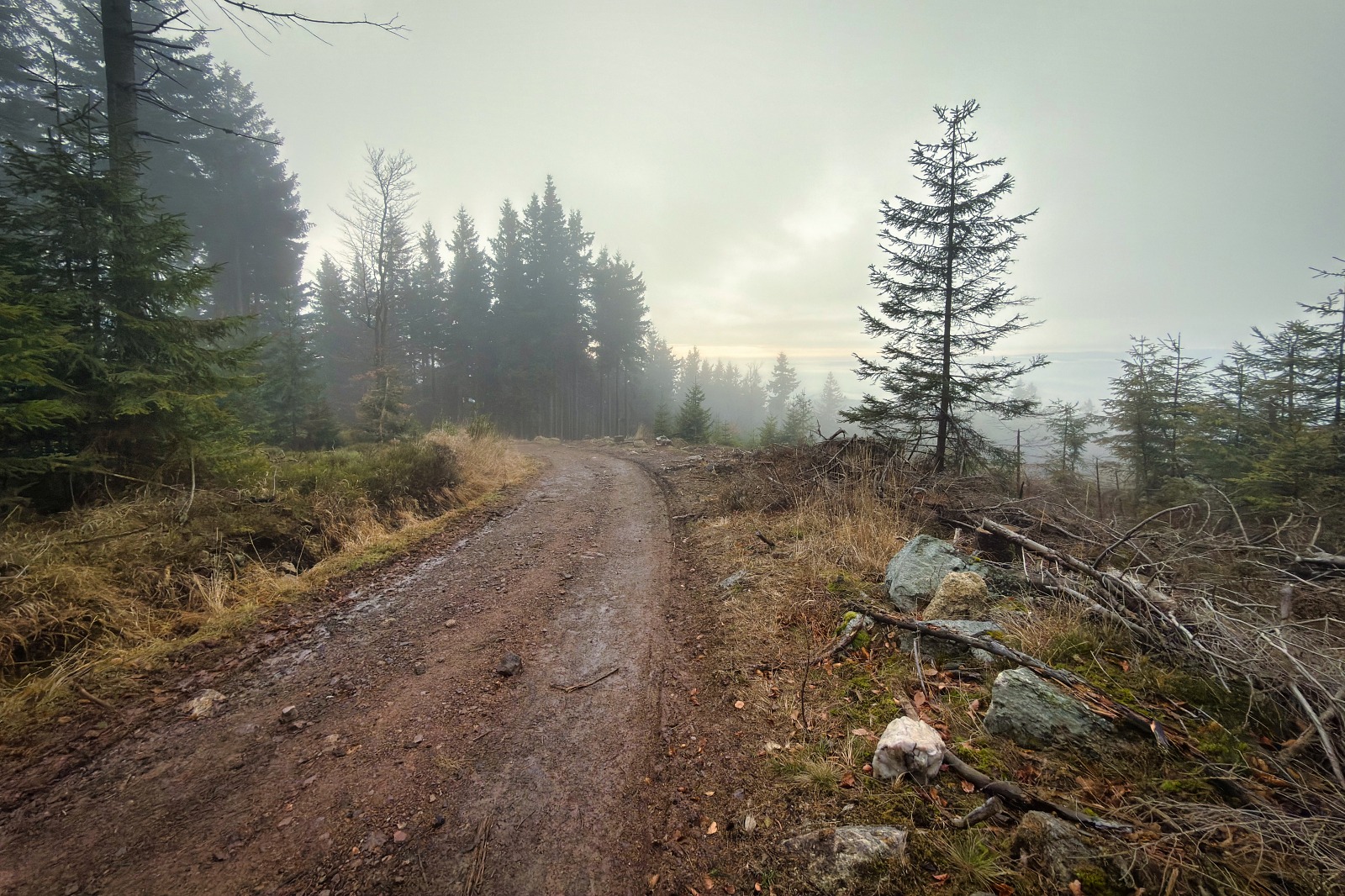 20251220 Trójmorski Wierch IMG 3639 051 ip16p social