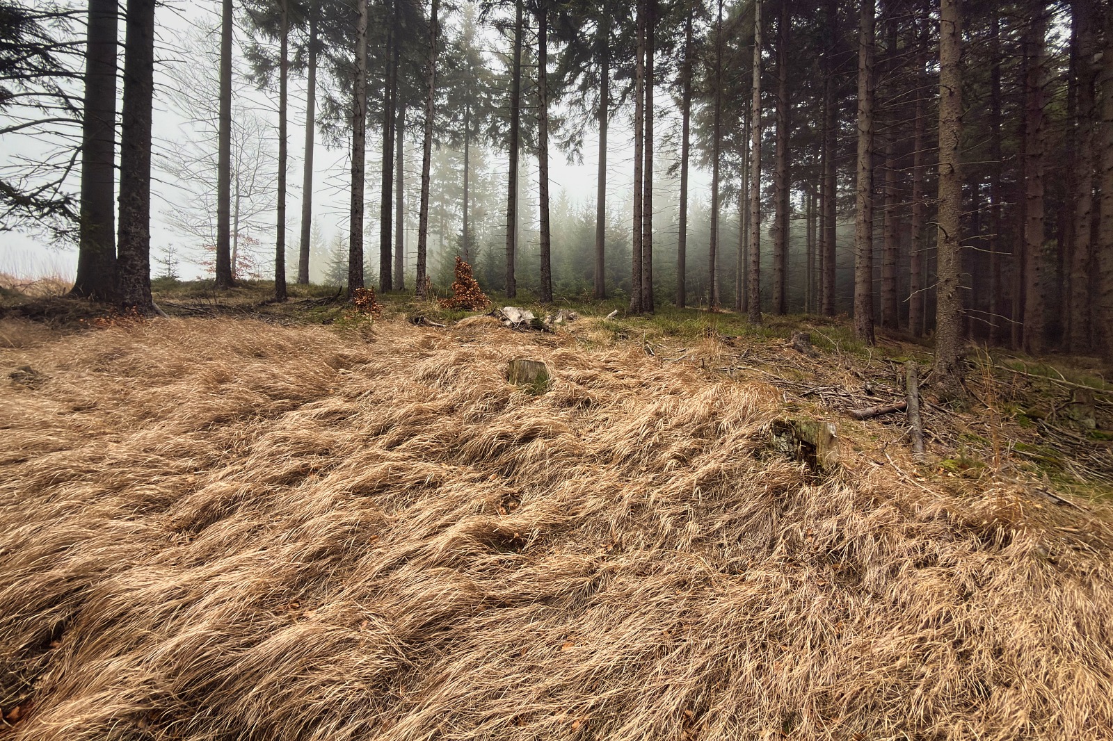 20251220 Trójmorski Wierch IMG 3640 052 ip16p social