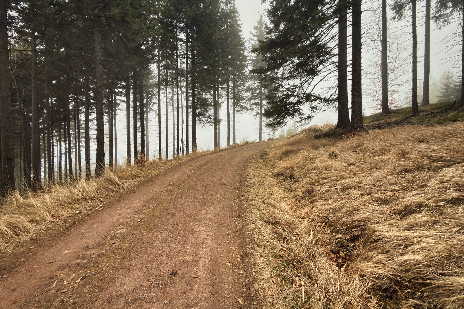 20251220 Trójmorski Wierch IMG 3641 053 ip16p social