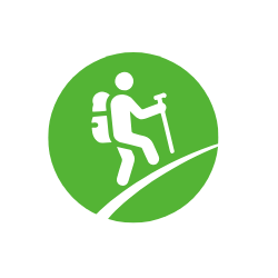 dreptamsobie.pl 250