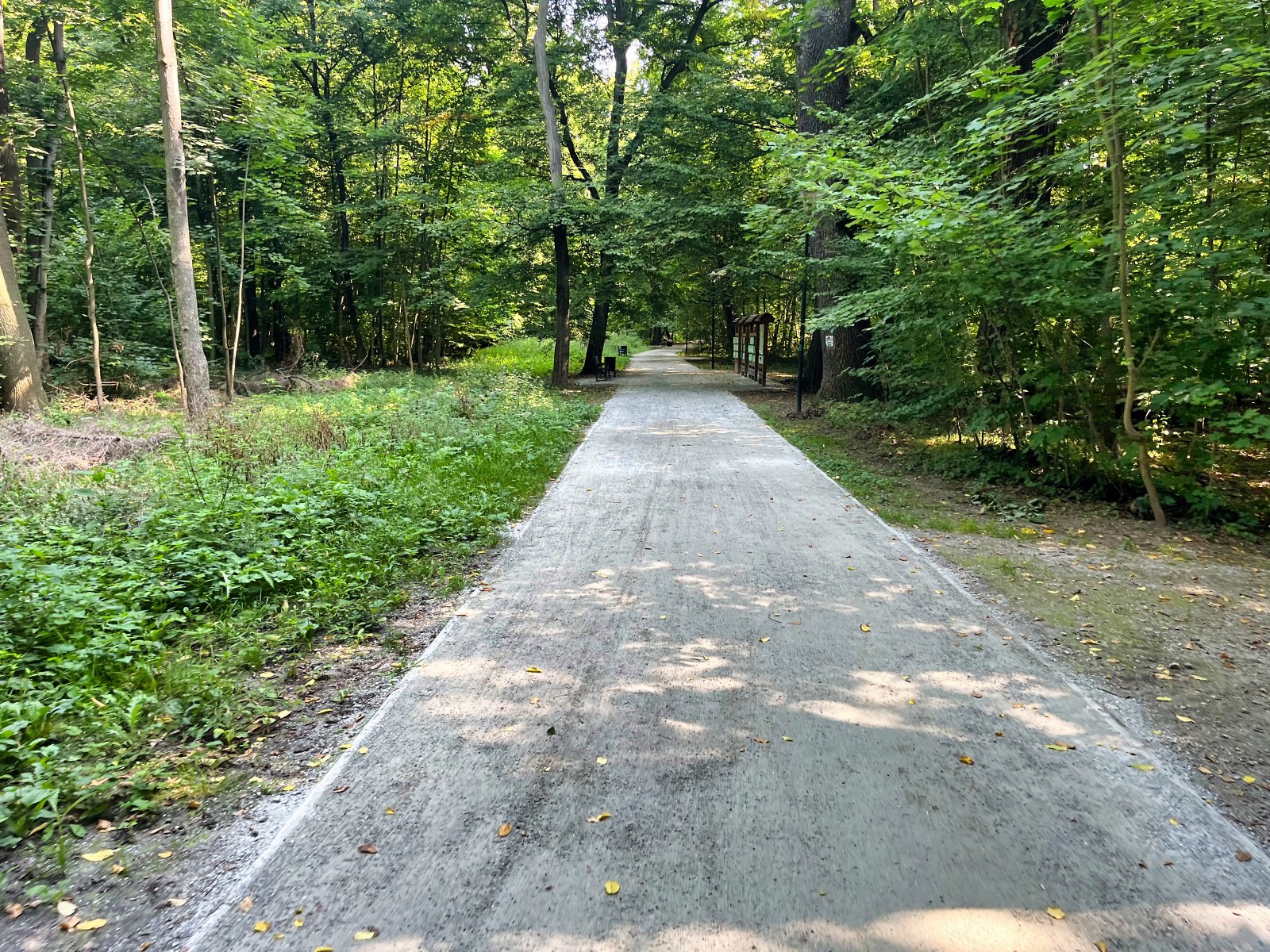 2025.08.18 Pętla Bielika, Szlak Bobra 03 IMG 1390 print media