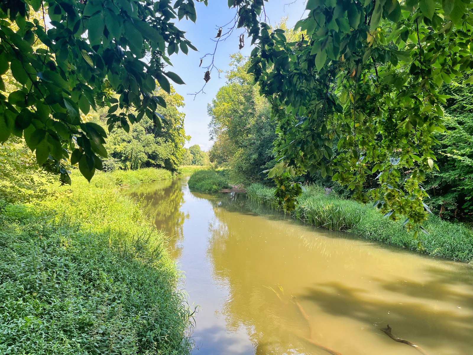 2025.08.18 Pętla Bielika, Szlak Bobra 04 IMG 1391 print media