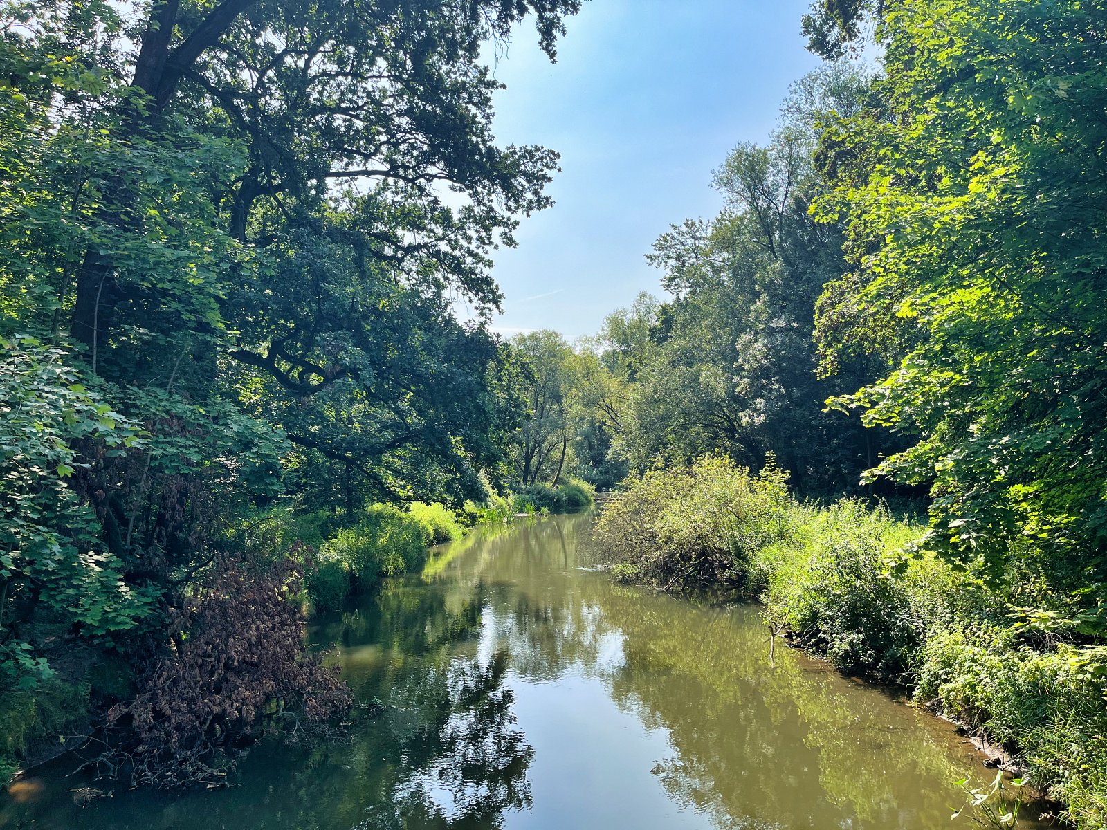 2025.08.18 Pętla Bielika, Szlak Bobra 05 IMG 1392 print media