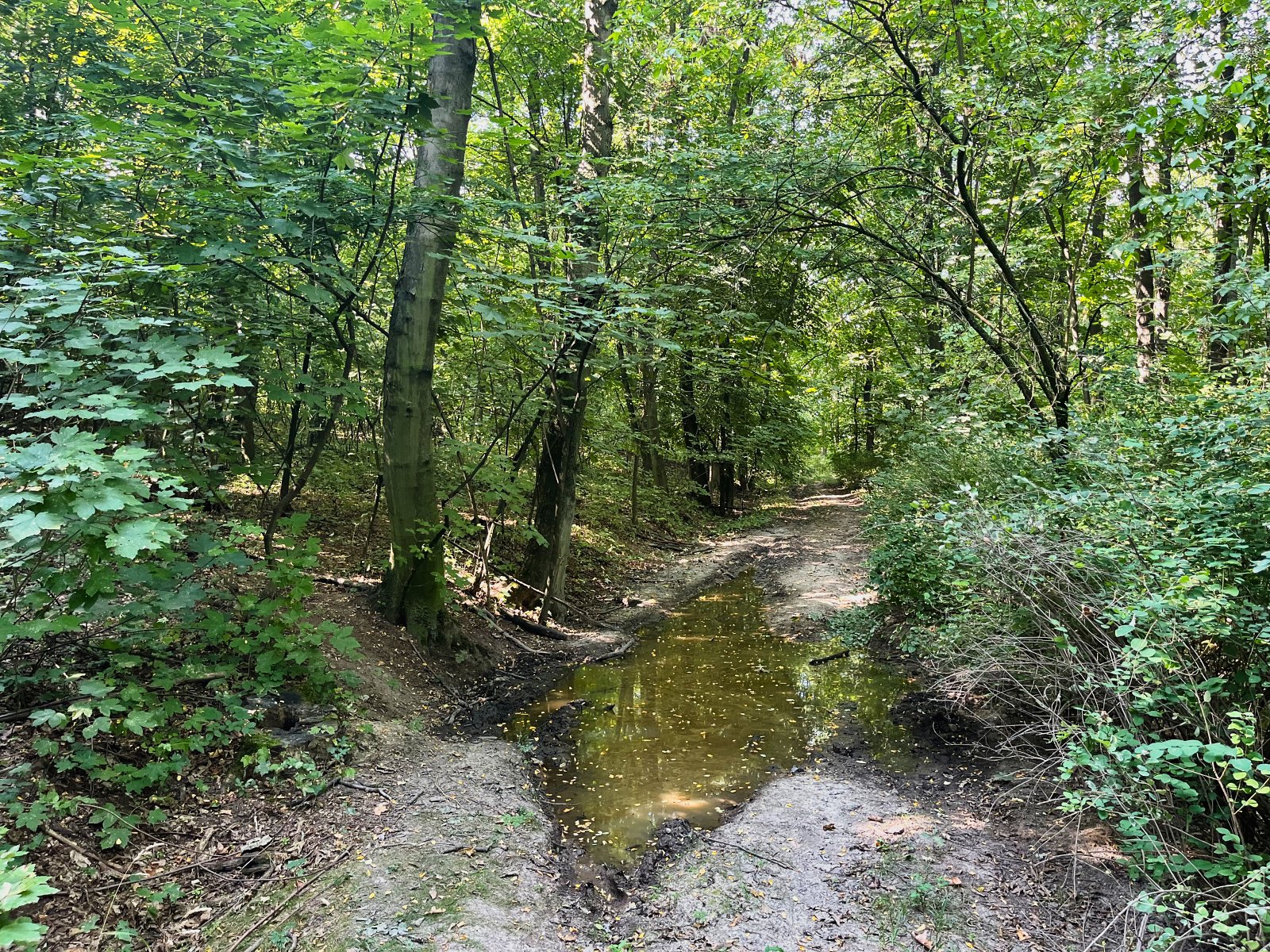 2025.08.18 Pętla Bielika, Szlak Bobra 06 IMG 1396 print media