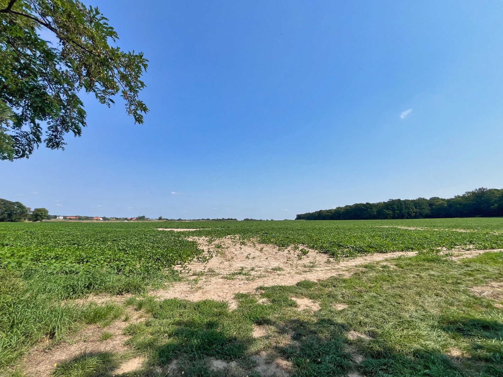 2025.08.18 Pętla Bielika, Szlak Bobra 07 IMG 1398 print media