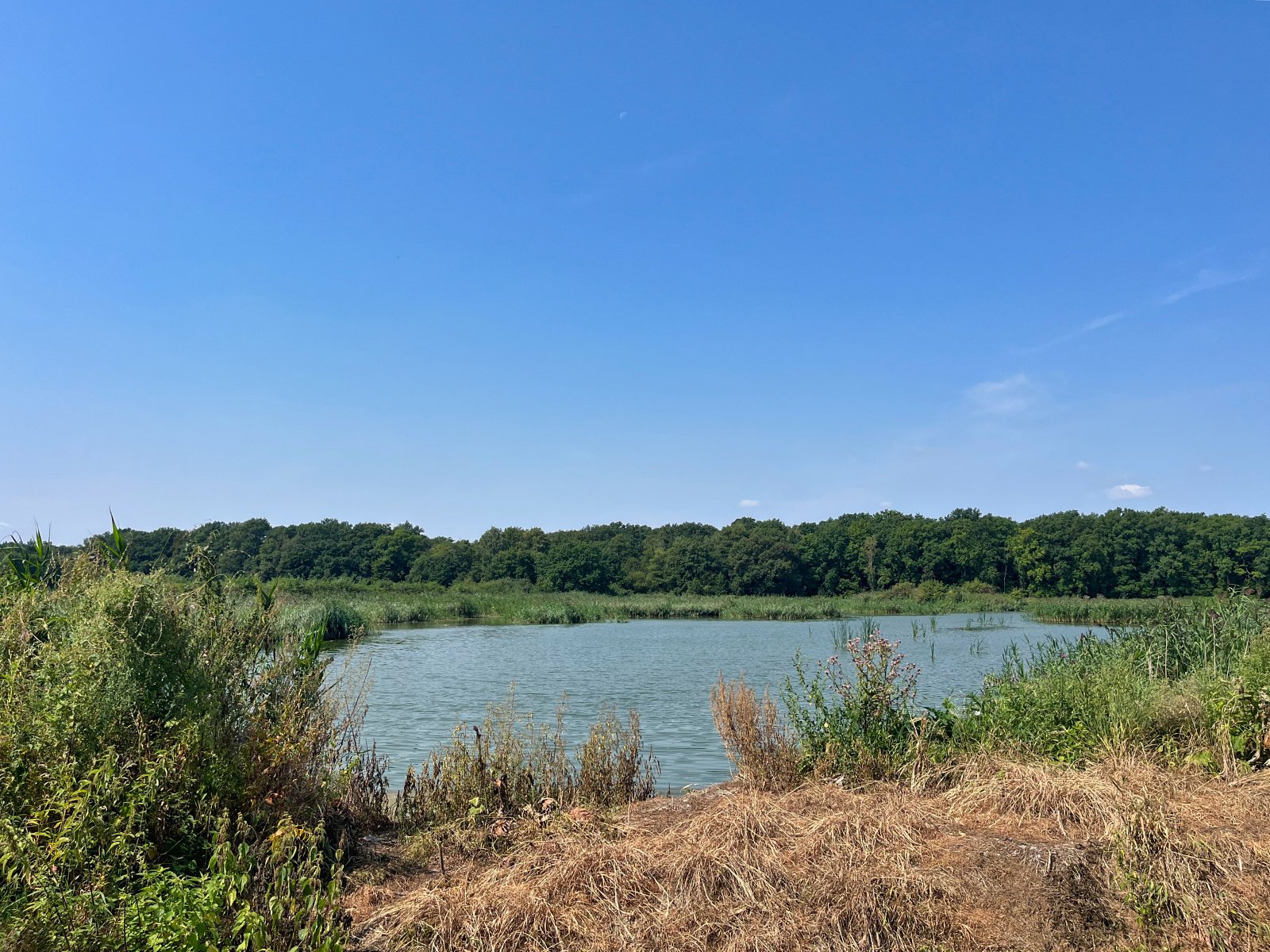 2025.08.18 Pętla Bielika, Szlak Bobra 11 IMG 1403 print media