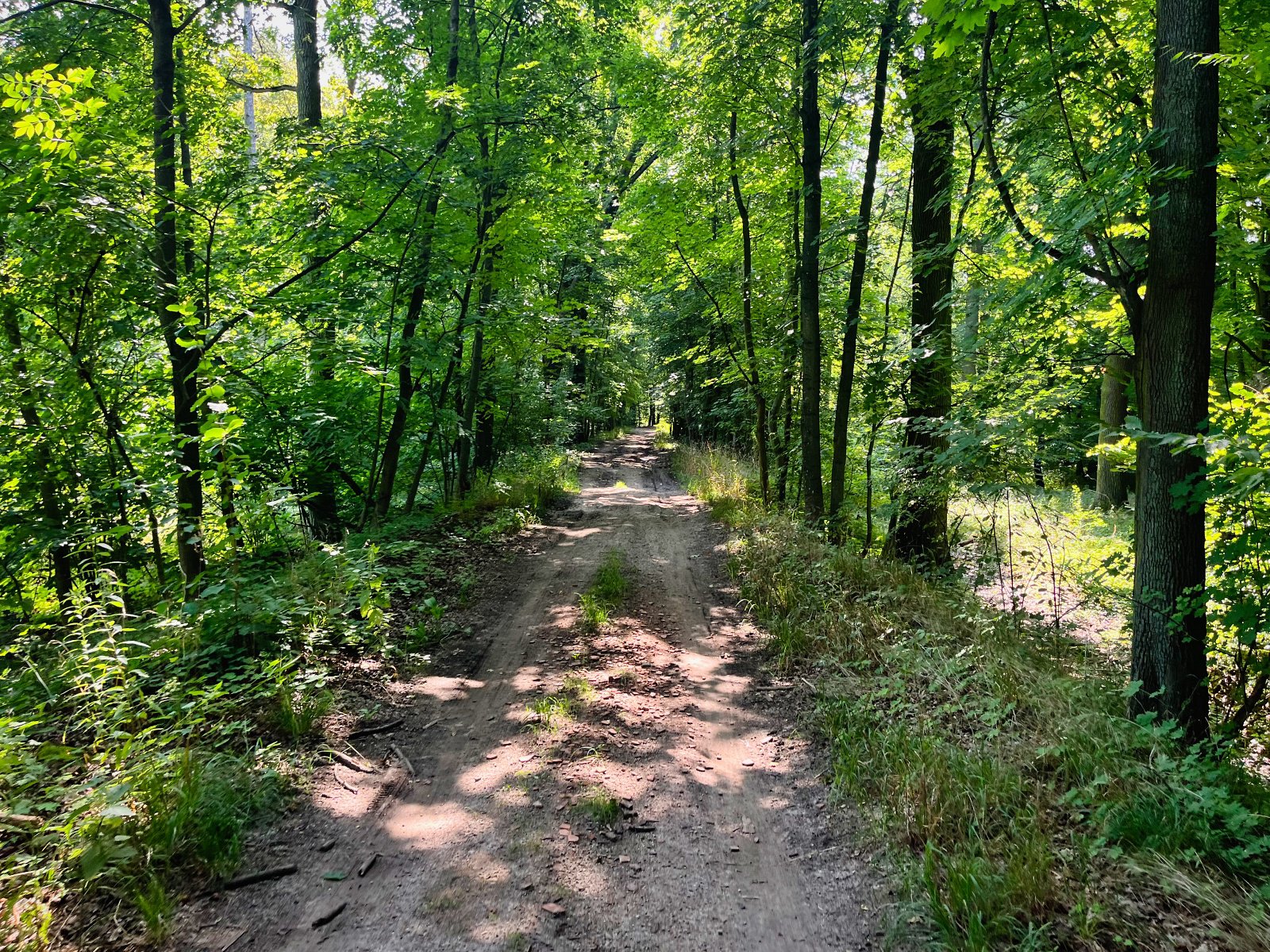 2025.08.18 Pętla Bielika, Szlak Bobra 13 IMG 1407 print media