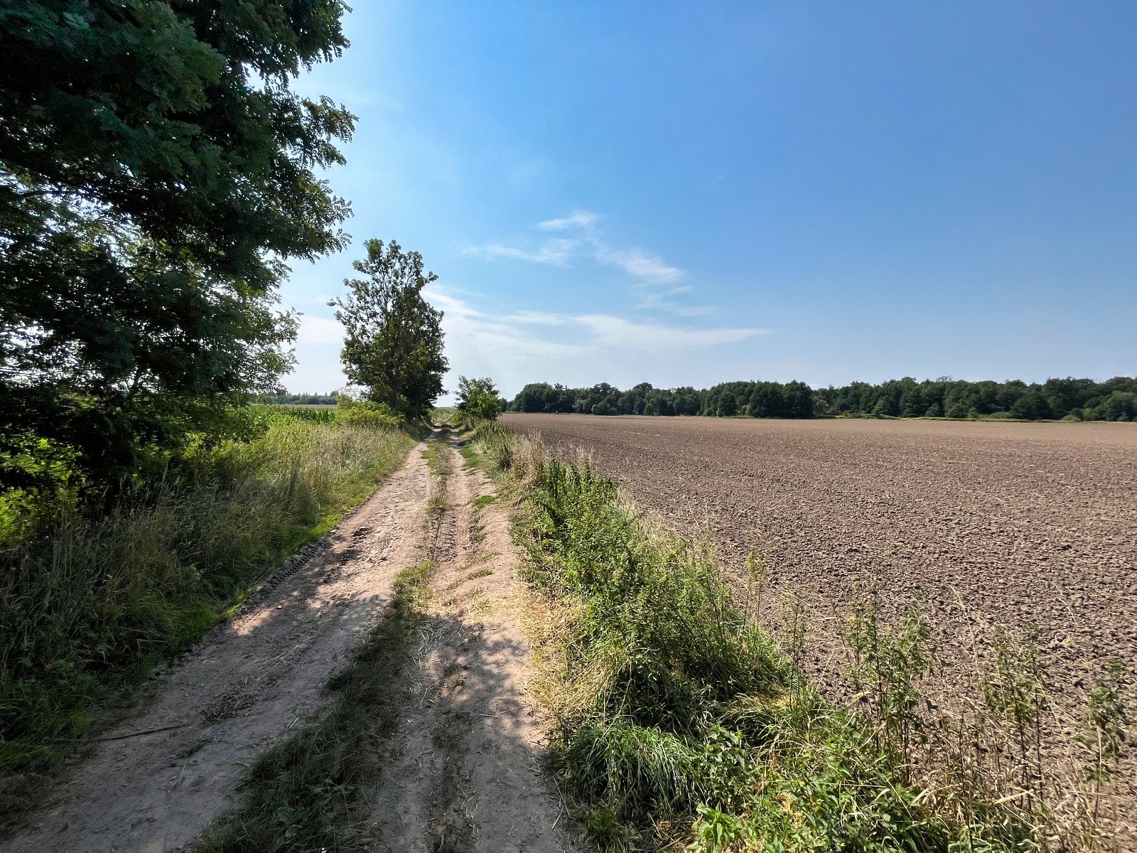 2025.08.18 Pętla Bielika, Szlak Bobra 14 IMG 1409 print media