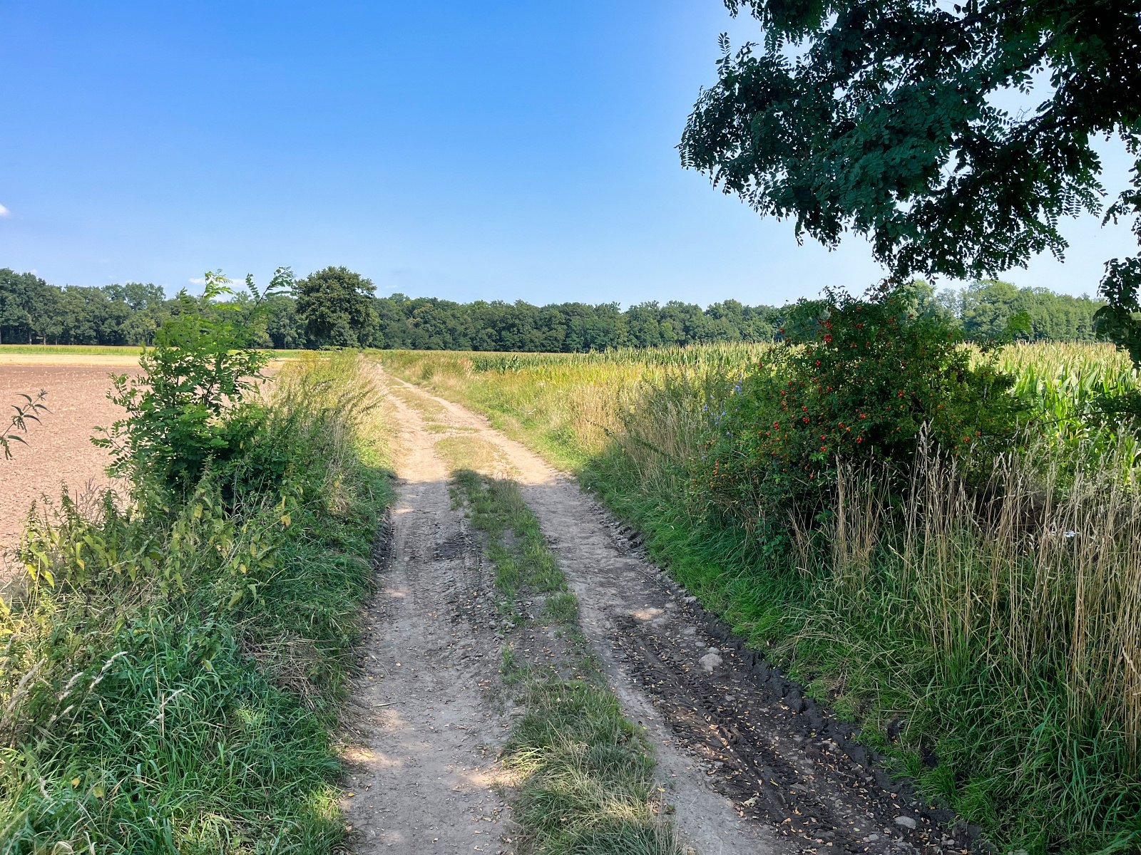 2025.08.18 Pętla Bielika, Szlak Bobra 15 IMG 1410 print media