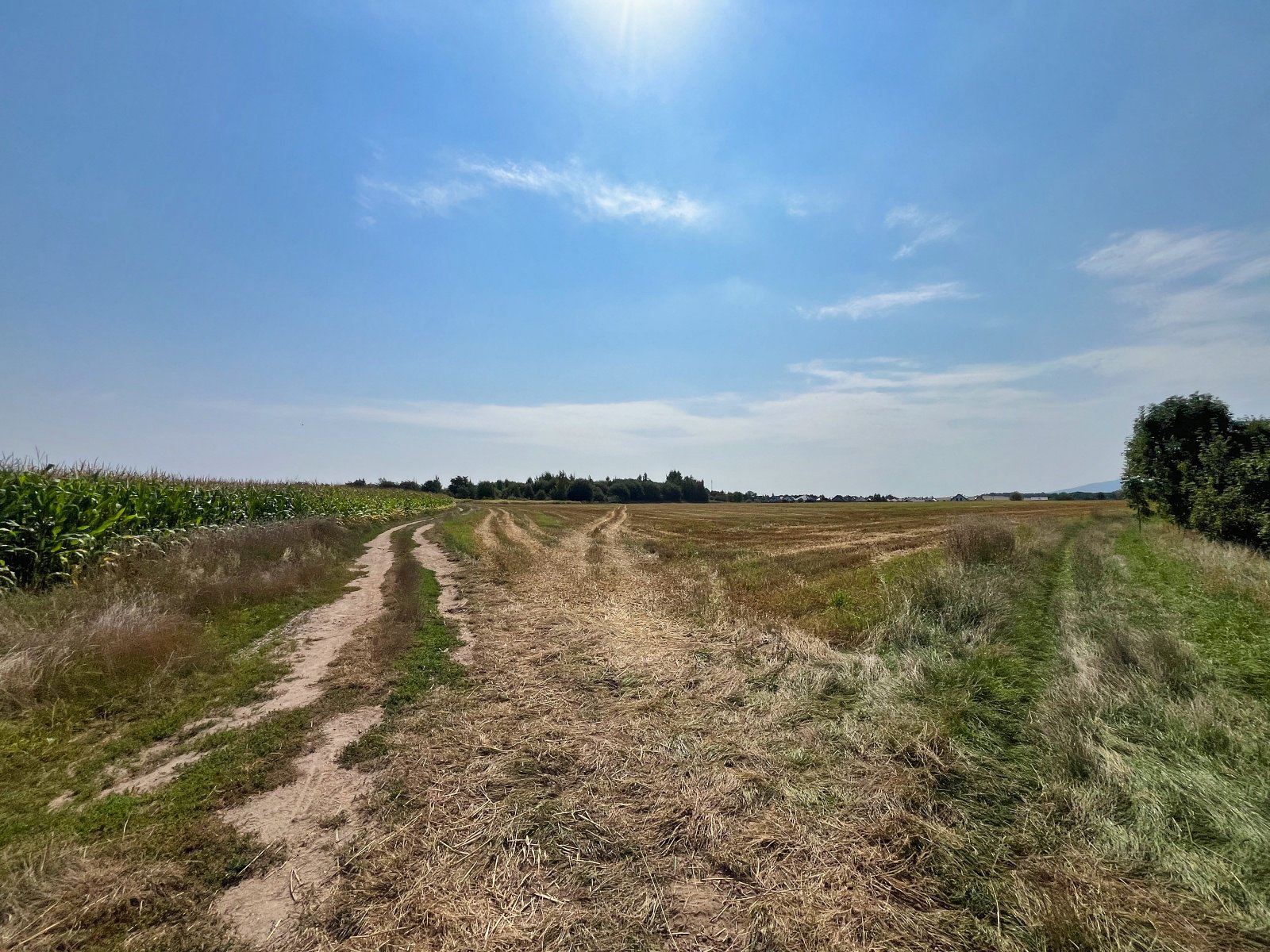 2025.08.18 Pętla Bielika, Szlak Bobra 16 IMG 1411 print media