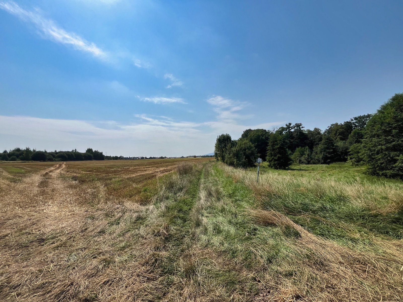 2025.08.18 Pętla Bielika, Szlak Bobra 17 IMG 1412 print media