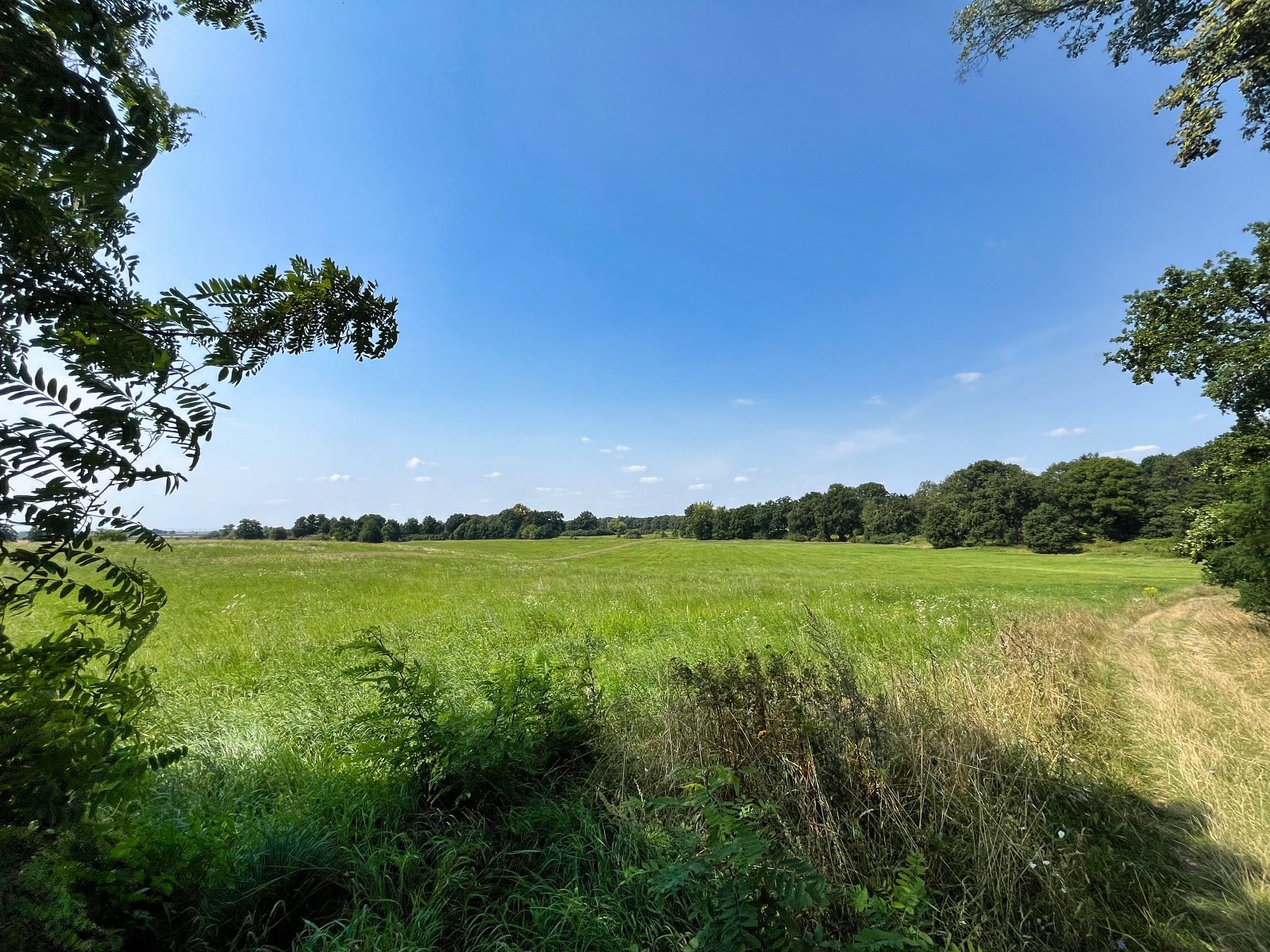 2025.08.18 Pętla Bielika, Szlak Bobra 19 IMG 1425 print media