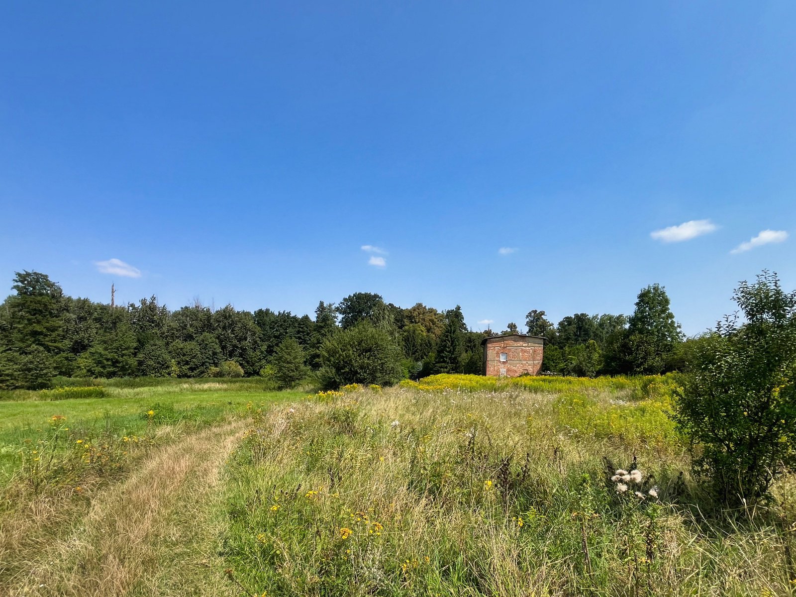 2025.08.18 Pętla Bielika, Szlak Bobra 21 IMG 1431 print media