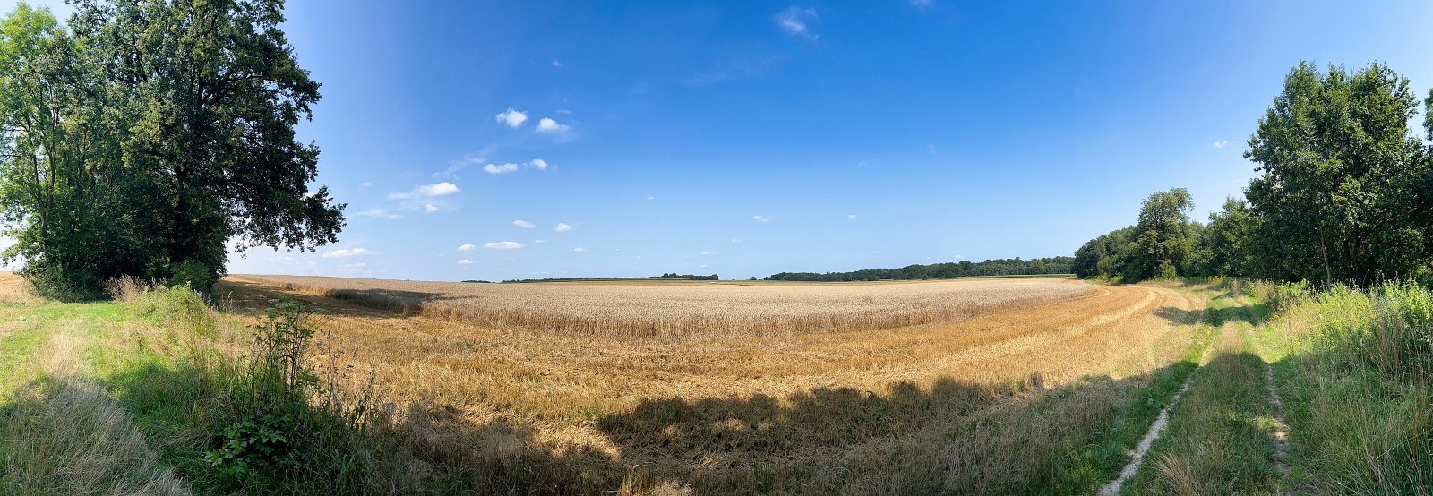 2025.08.18 Pętla Bielika, Szlak Bobra 27 IMG 1443 print media