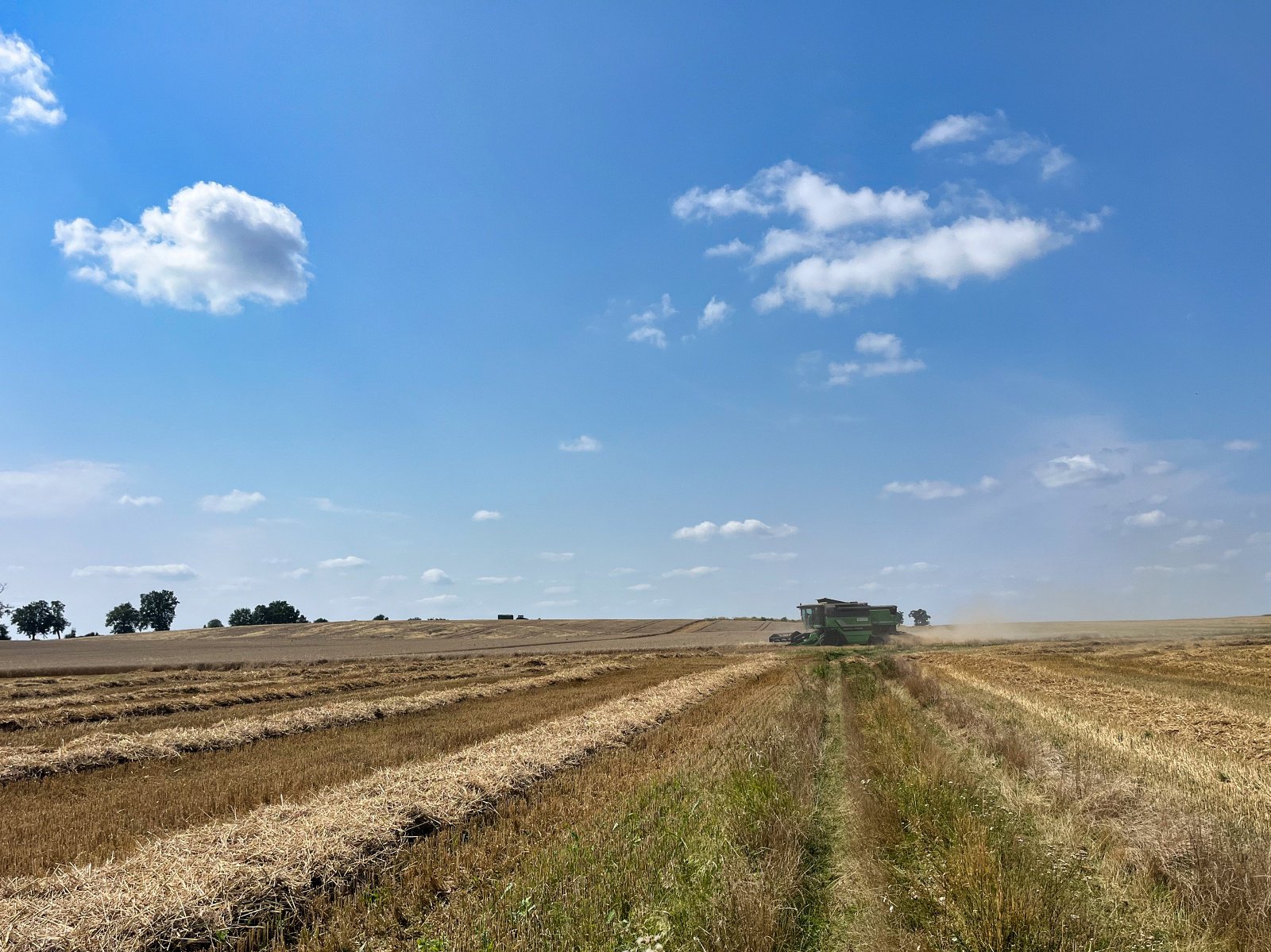 2025.08.18 Pętla Bielika, Szlak Bobra 29 IMG 1448 print media