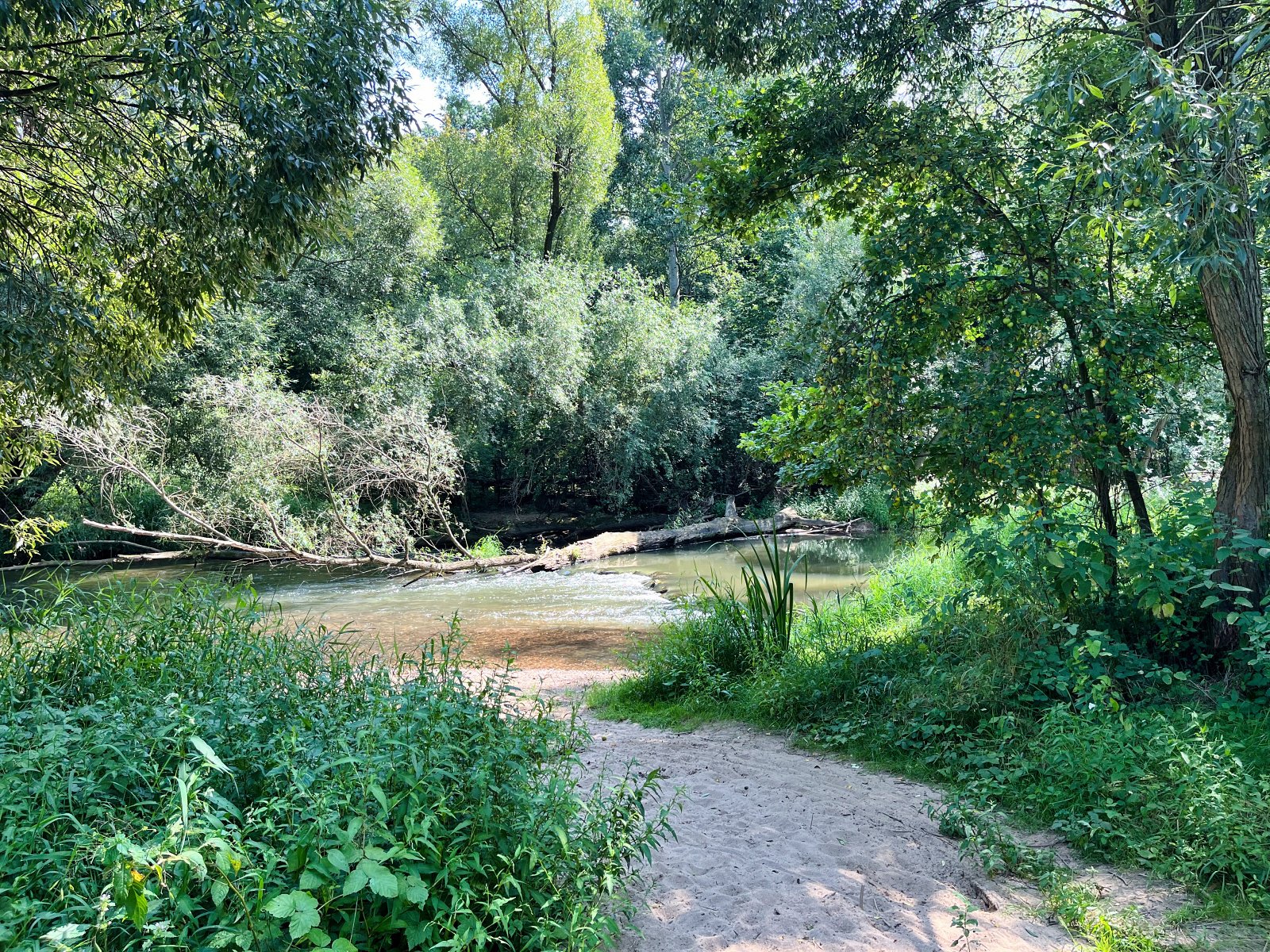 2025.08.18 Pętla Bielika, Szlak Bobra 31 IMG 1456 print media