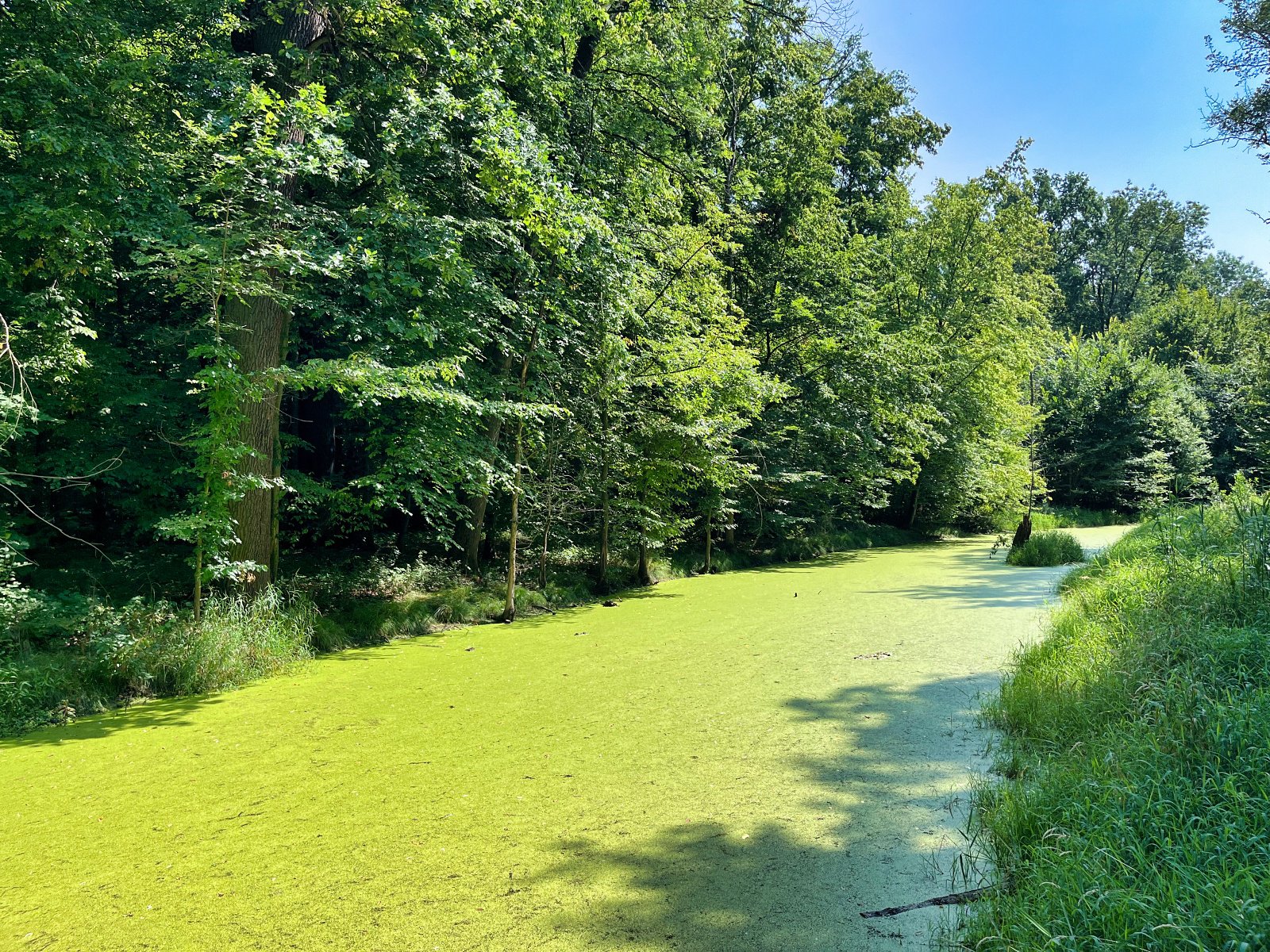 2025.08.18 Pętla Bielika, Szlak Bobra 33 IMG 1459 print media