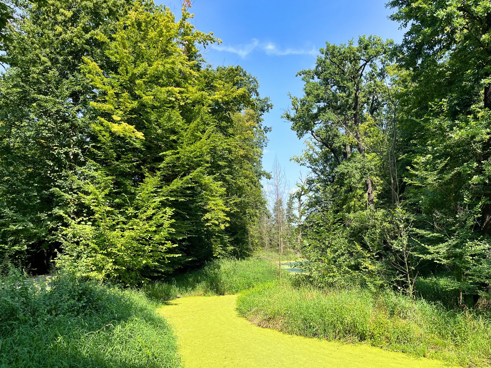 2025.08.18 Pętla Bielika, Szlak Bobra 34 IMG 1460 print media
